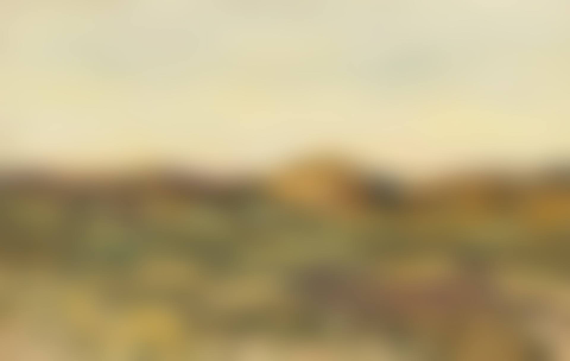 Dünenlandschaft (preview)