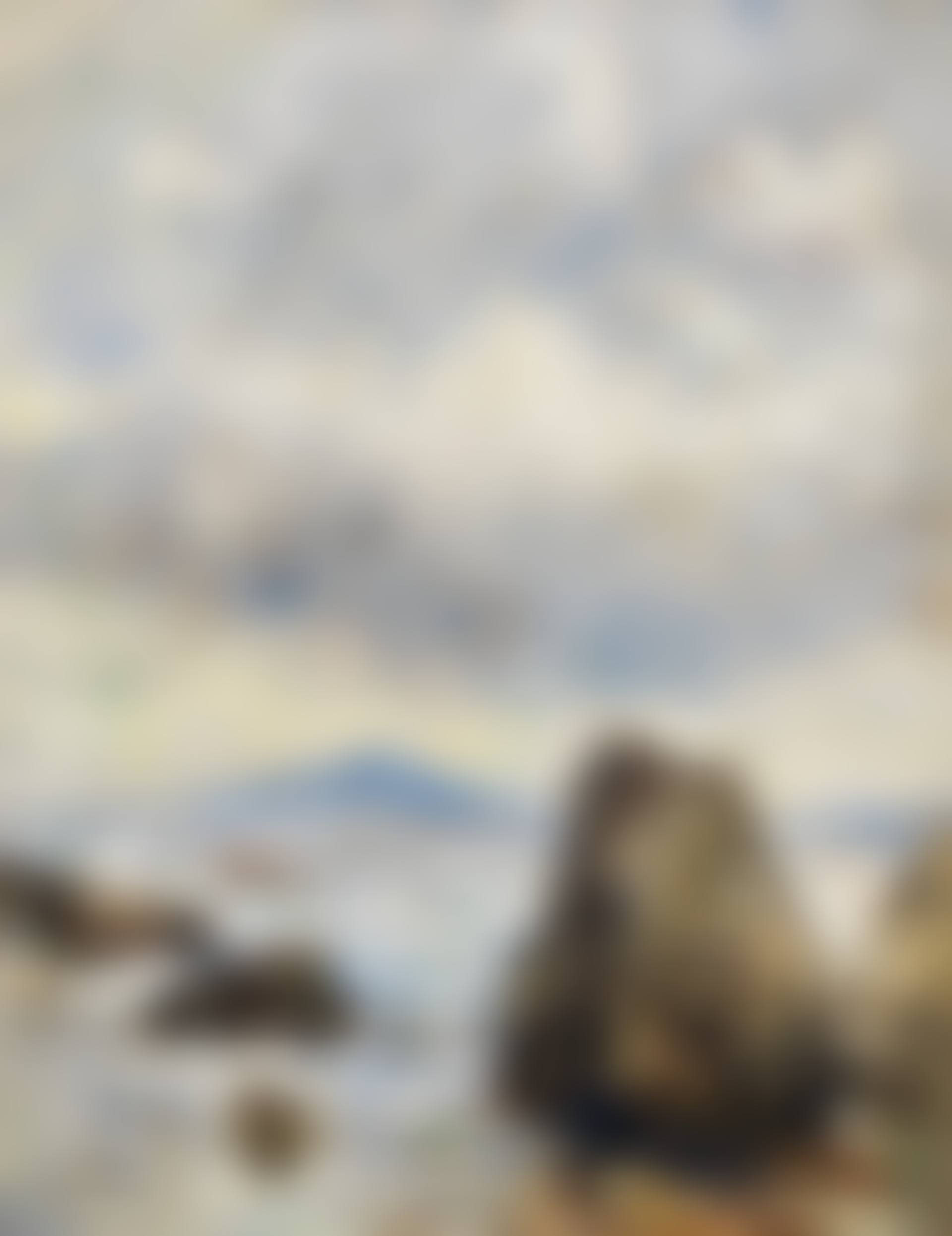 Felsenküste bei Capri (preview)