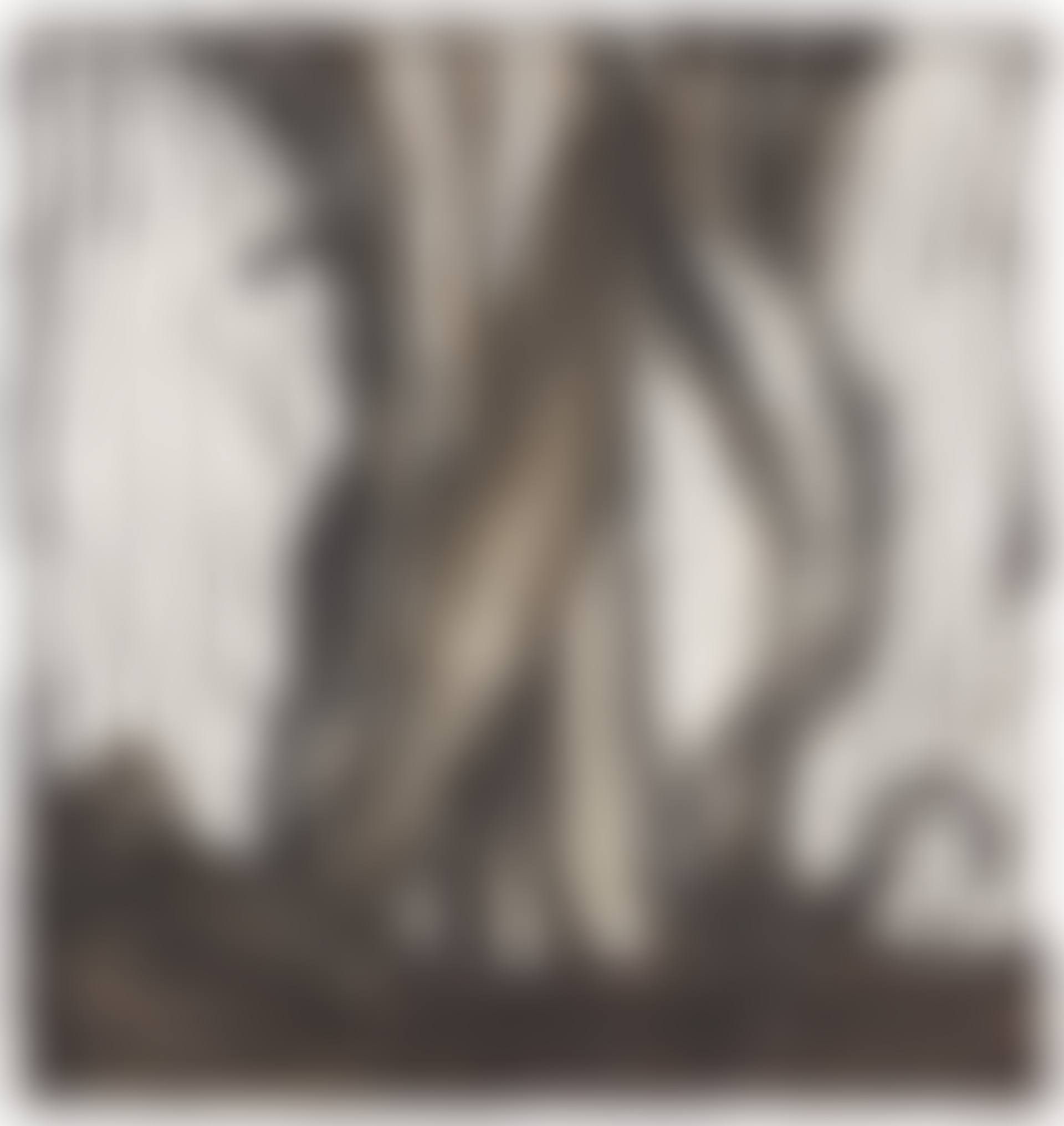 Der Wald (preview)