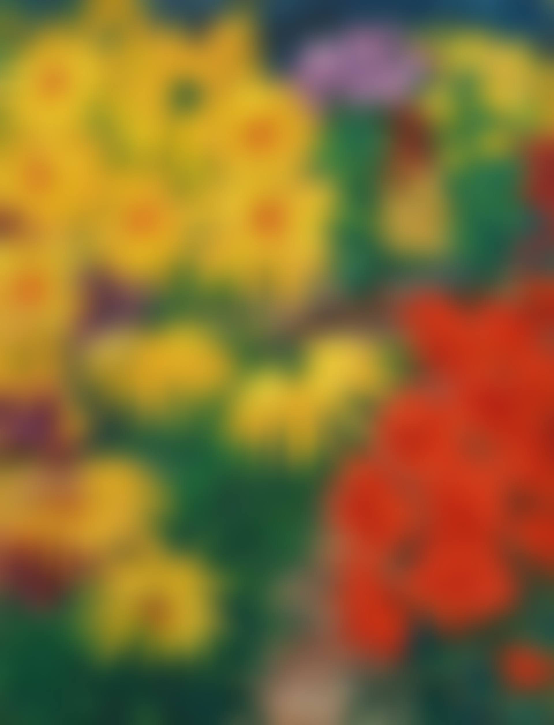 Dahlien (preview)