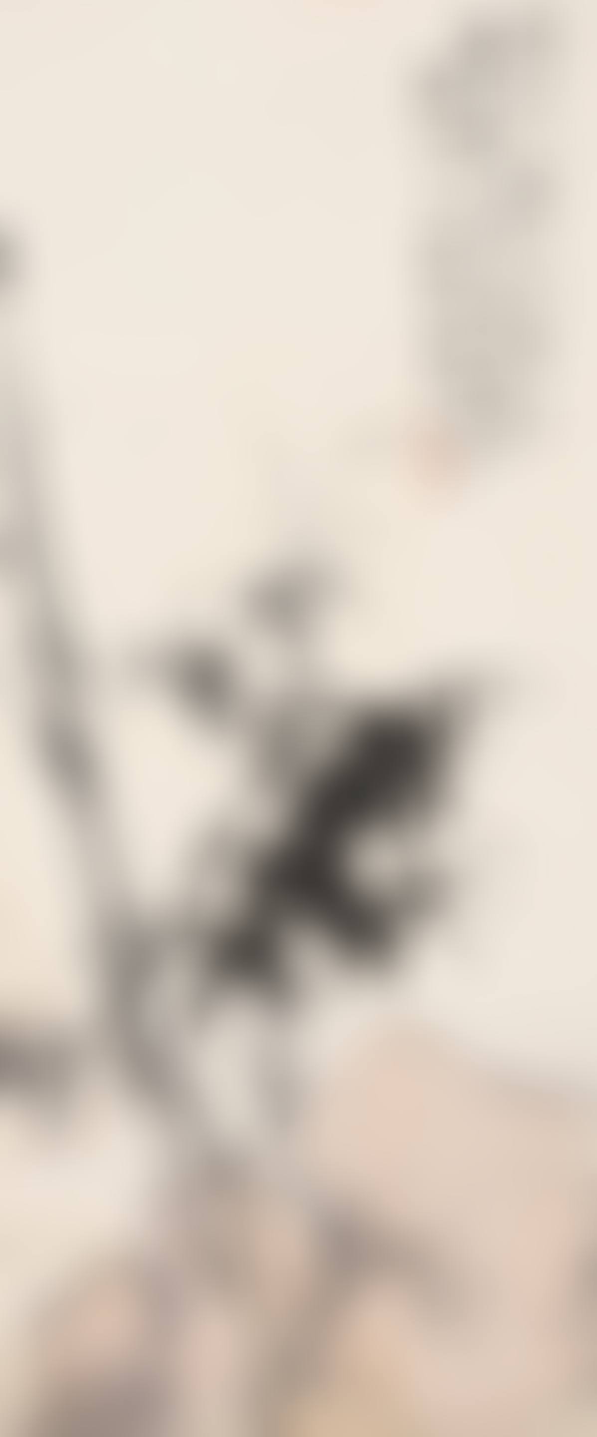 Bamboo (preview)