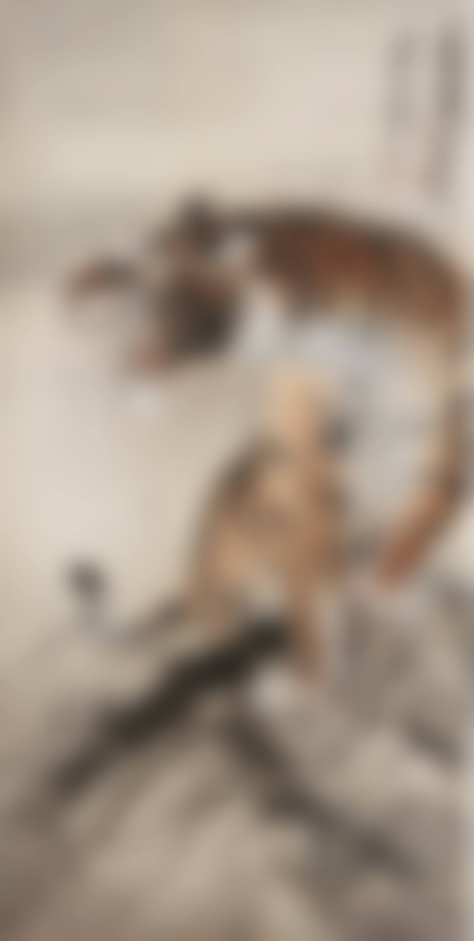 Tiger (preview)