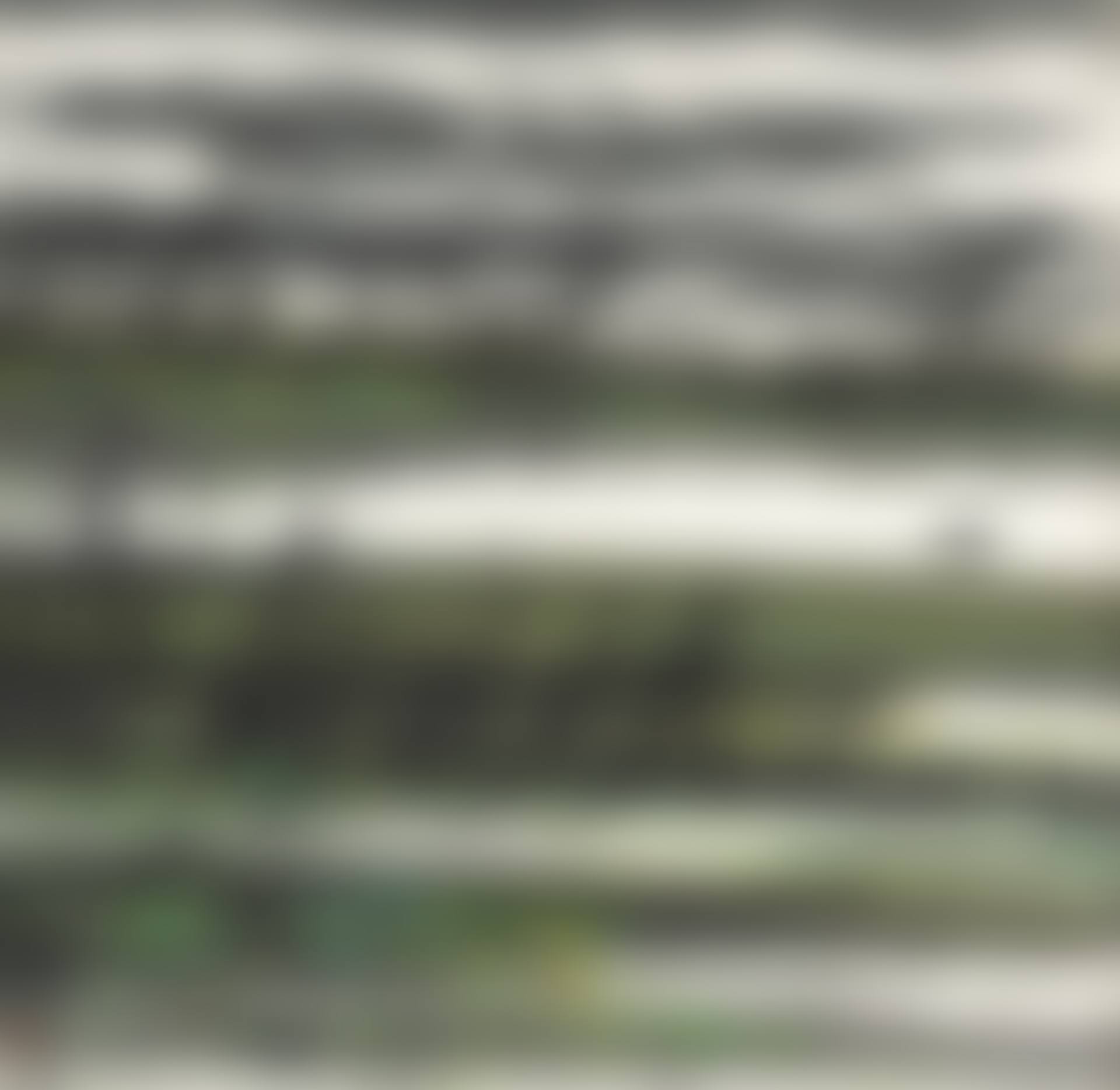 Goose Flying Over Lotus Pond (preview)