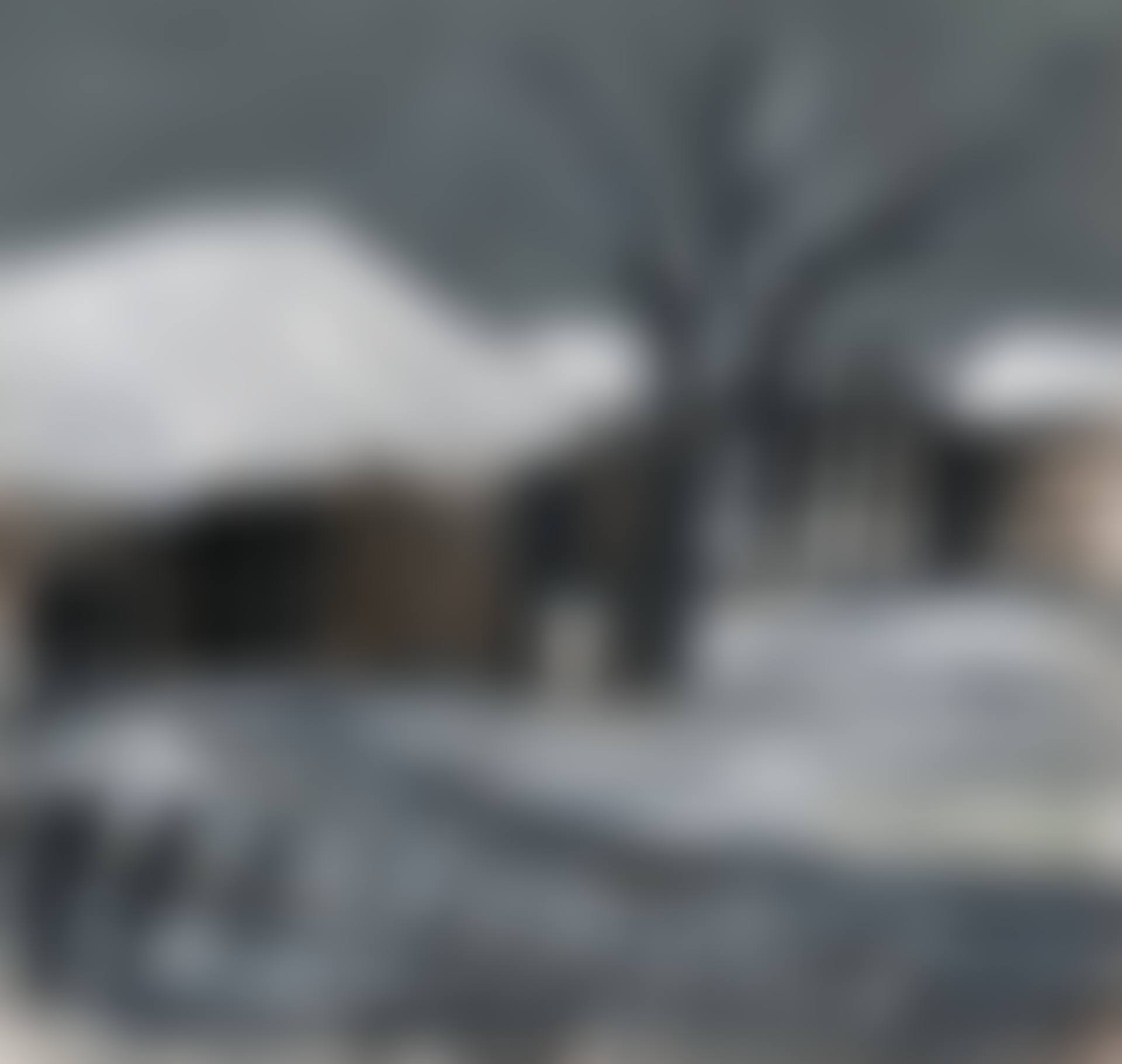 Snowscape (preview)