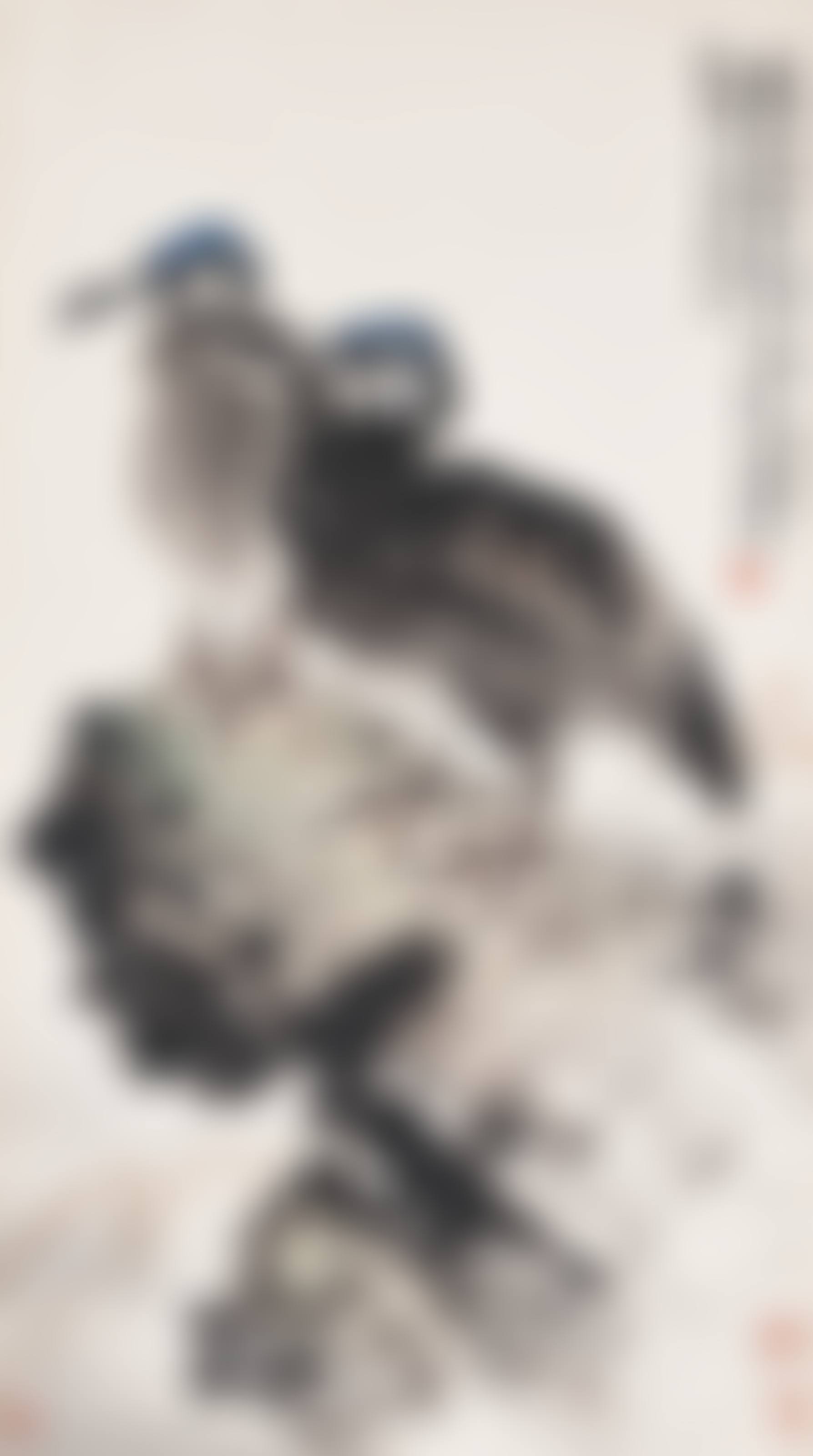 Twin Cormorants (preview)