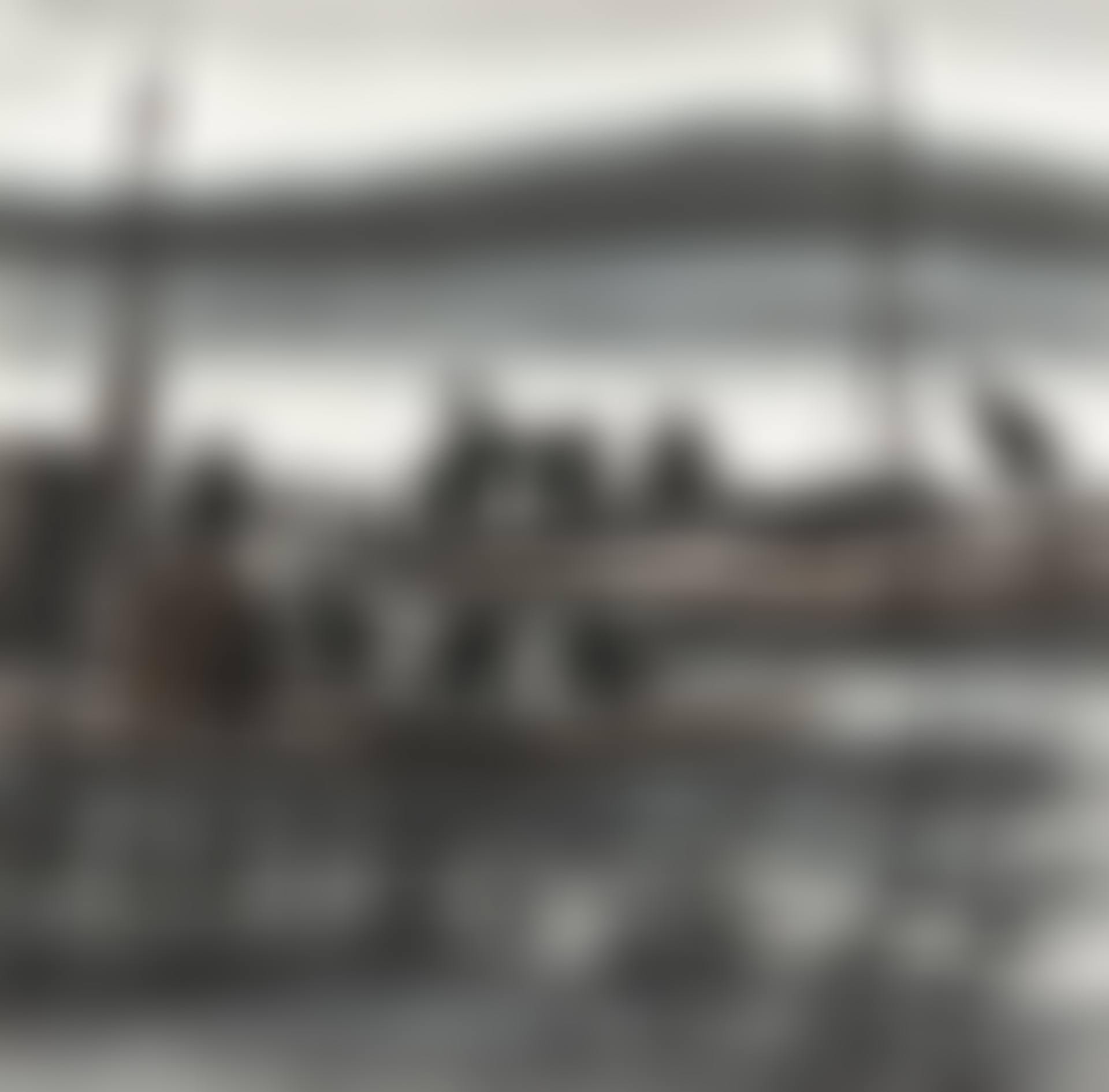 Cormorants on the Fishing Junks (preview)