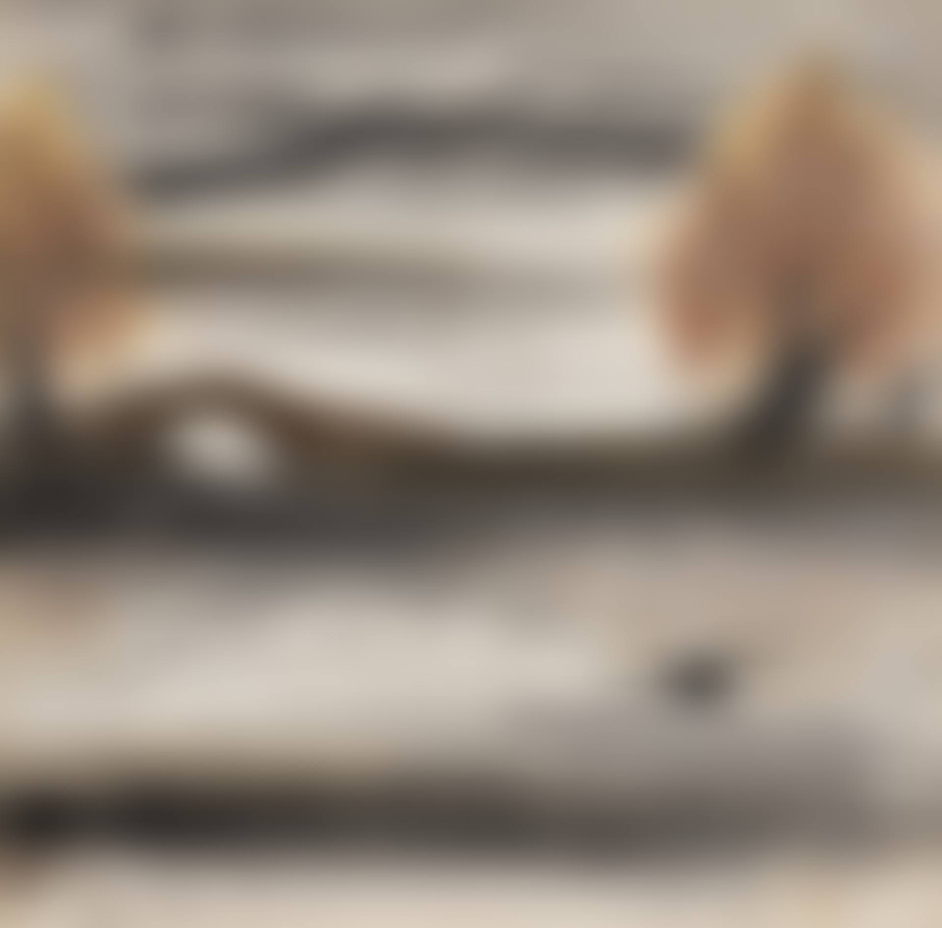 Flying Goose and Autumn Bridge (preview)