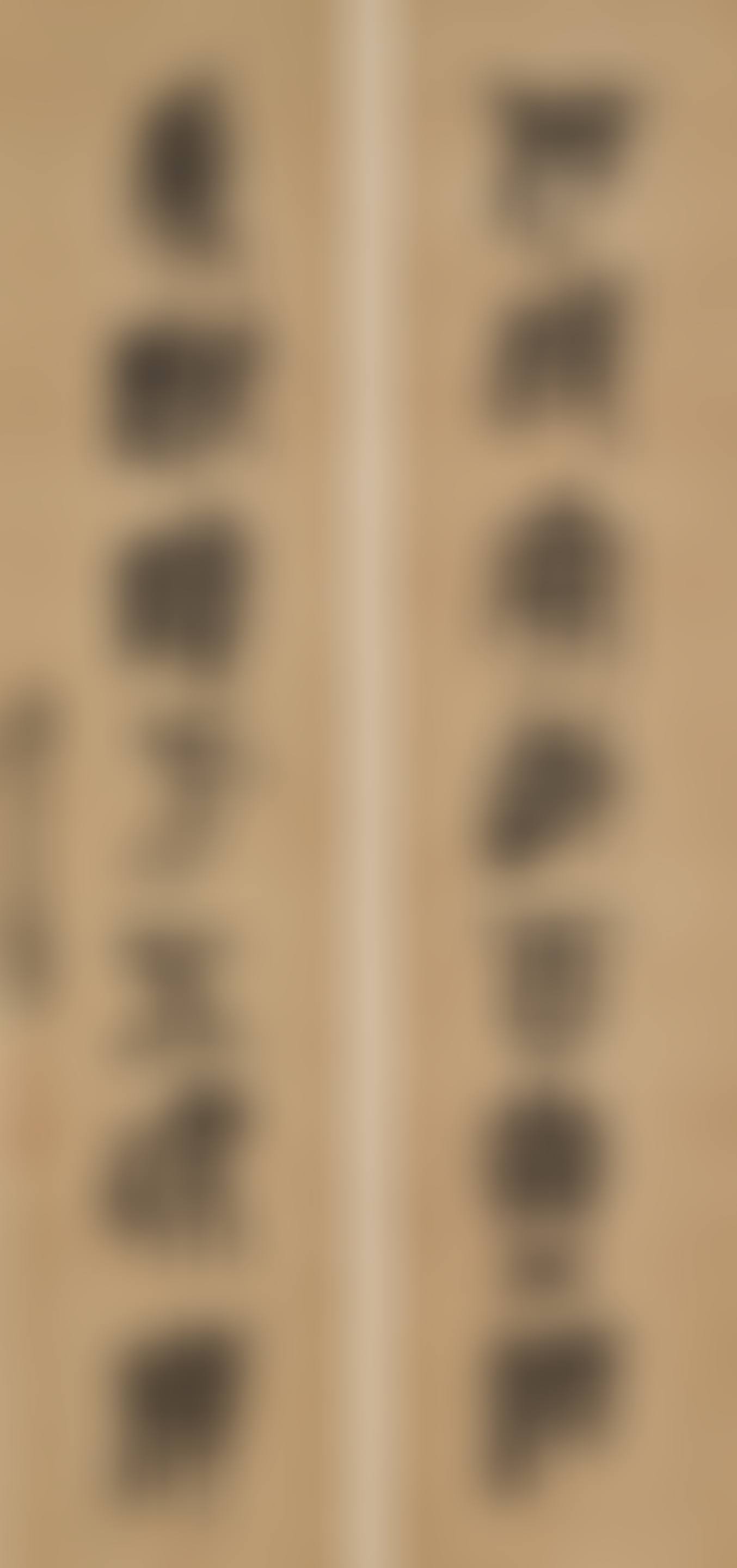 Calligraphy Couplet in Seal Script (preview)