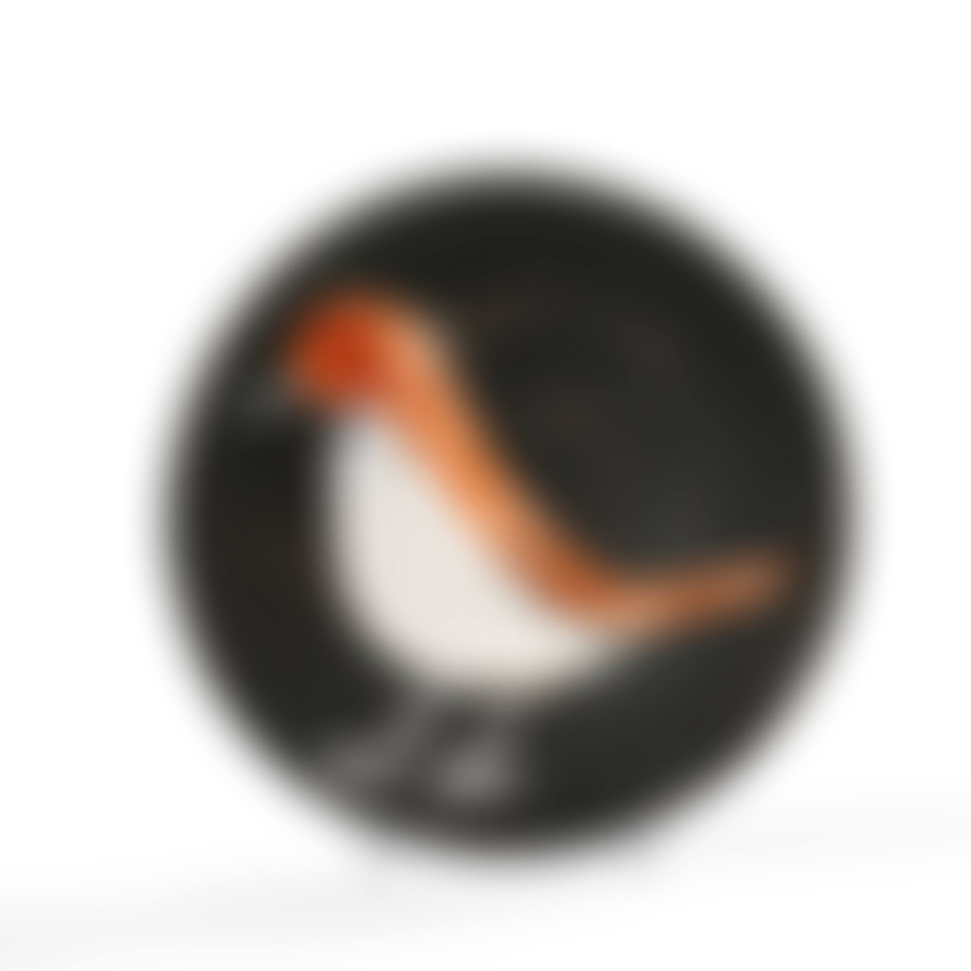 Oiseau n°96 - 1963 (AR 488)  (preview)
