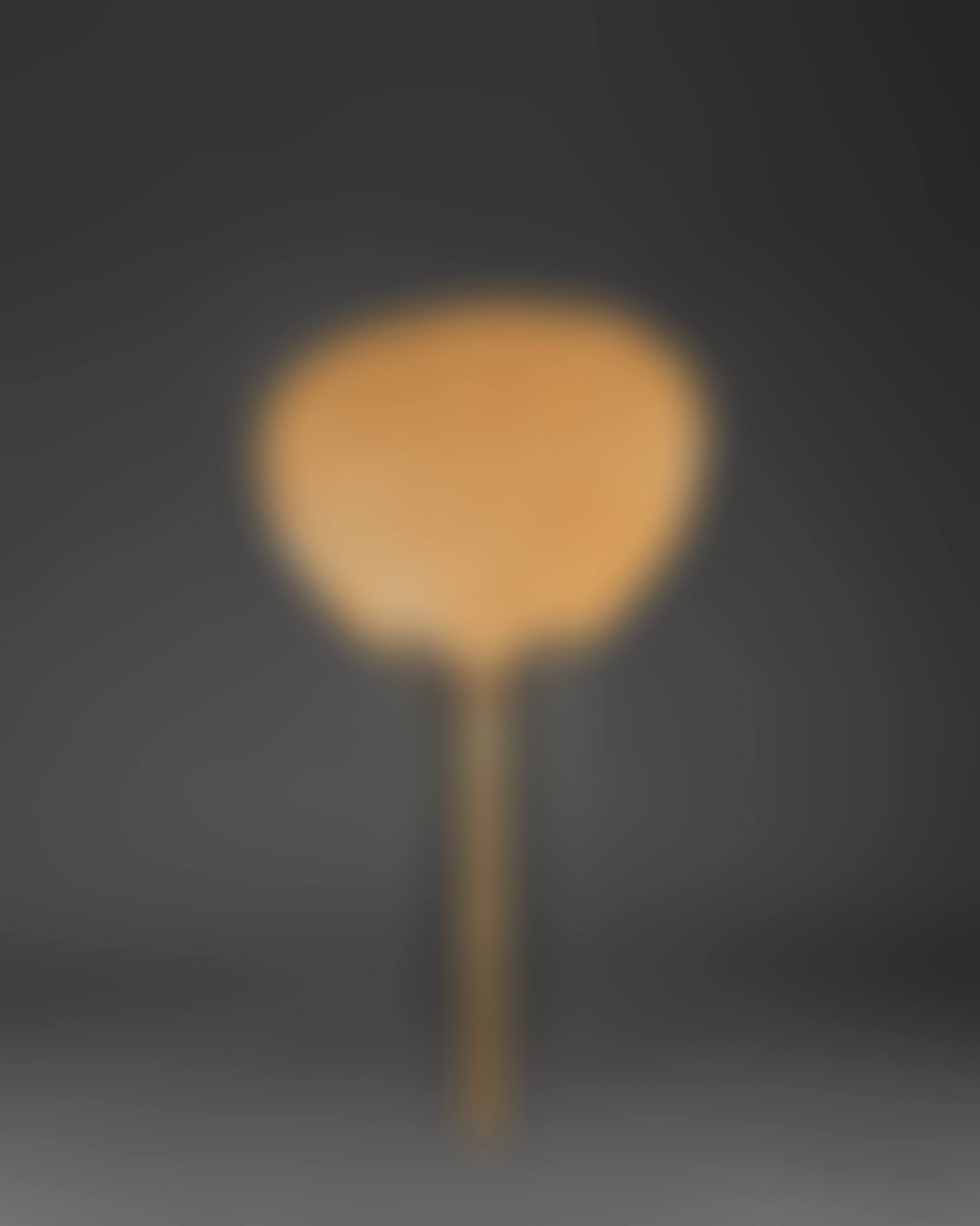 Lampadaire Uchiwa I (preview)