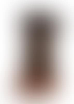 Torso* (preview)