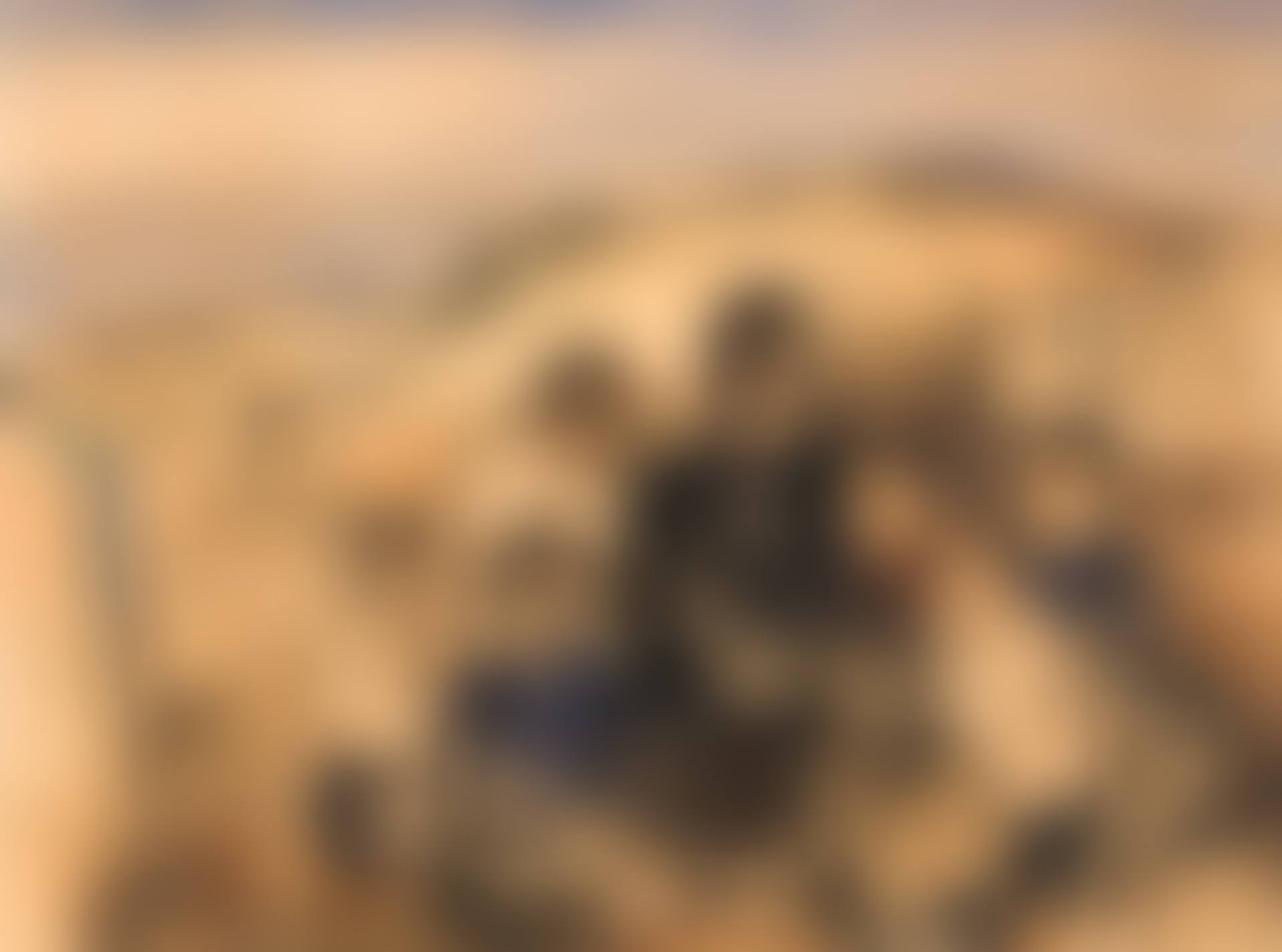Sans titre (Dans les dunes) (preview)