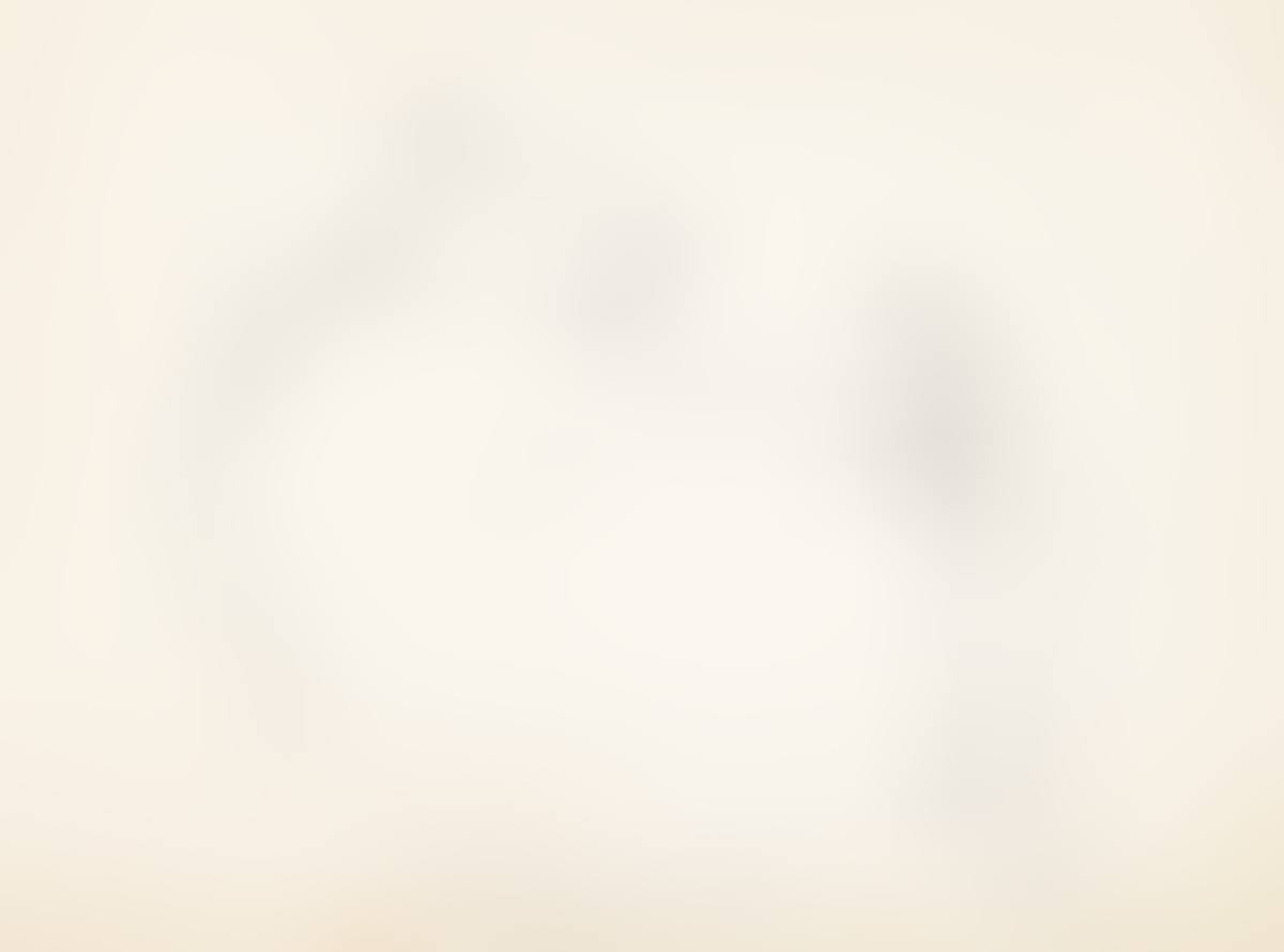 Cat Study . (preview)