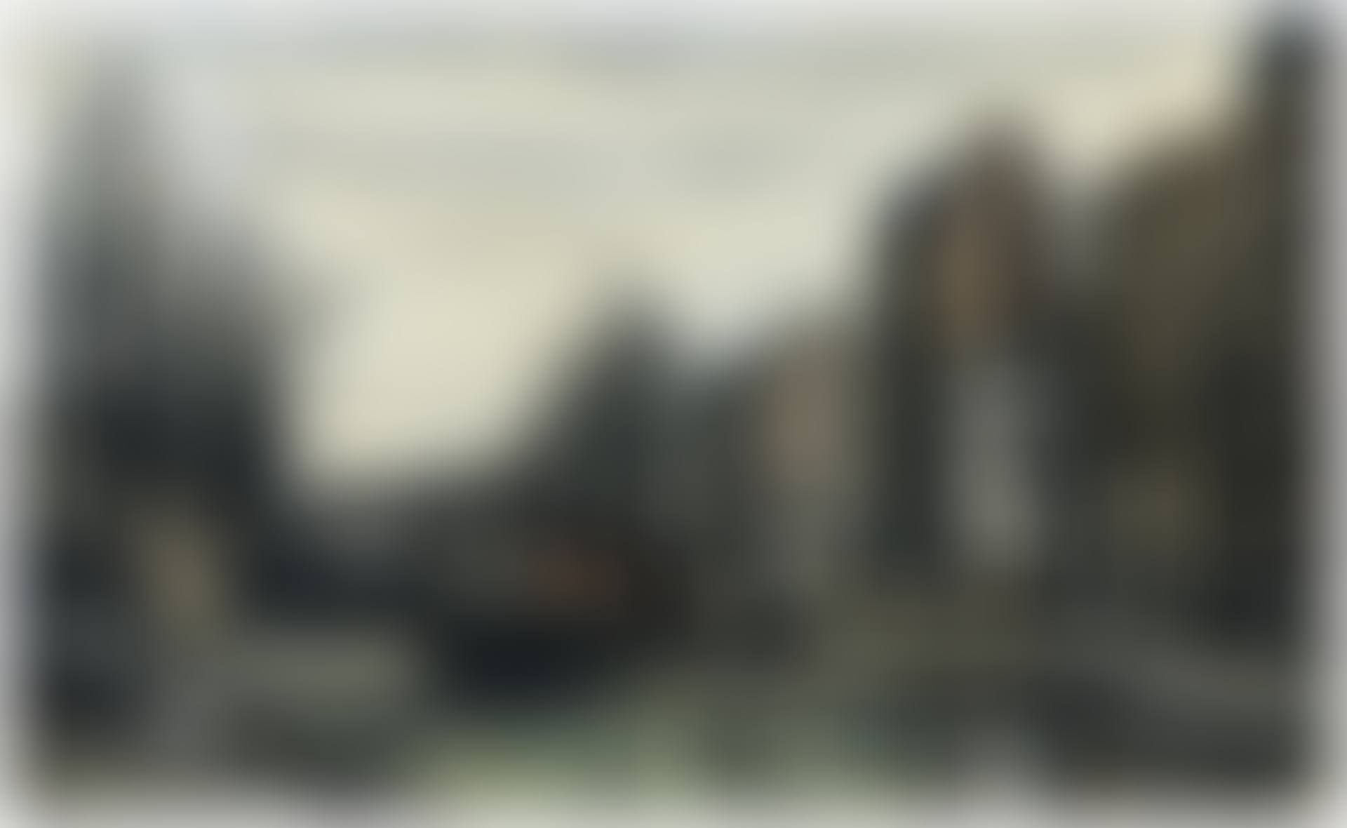 Le Canal Saint-Martin (preview)