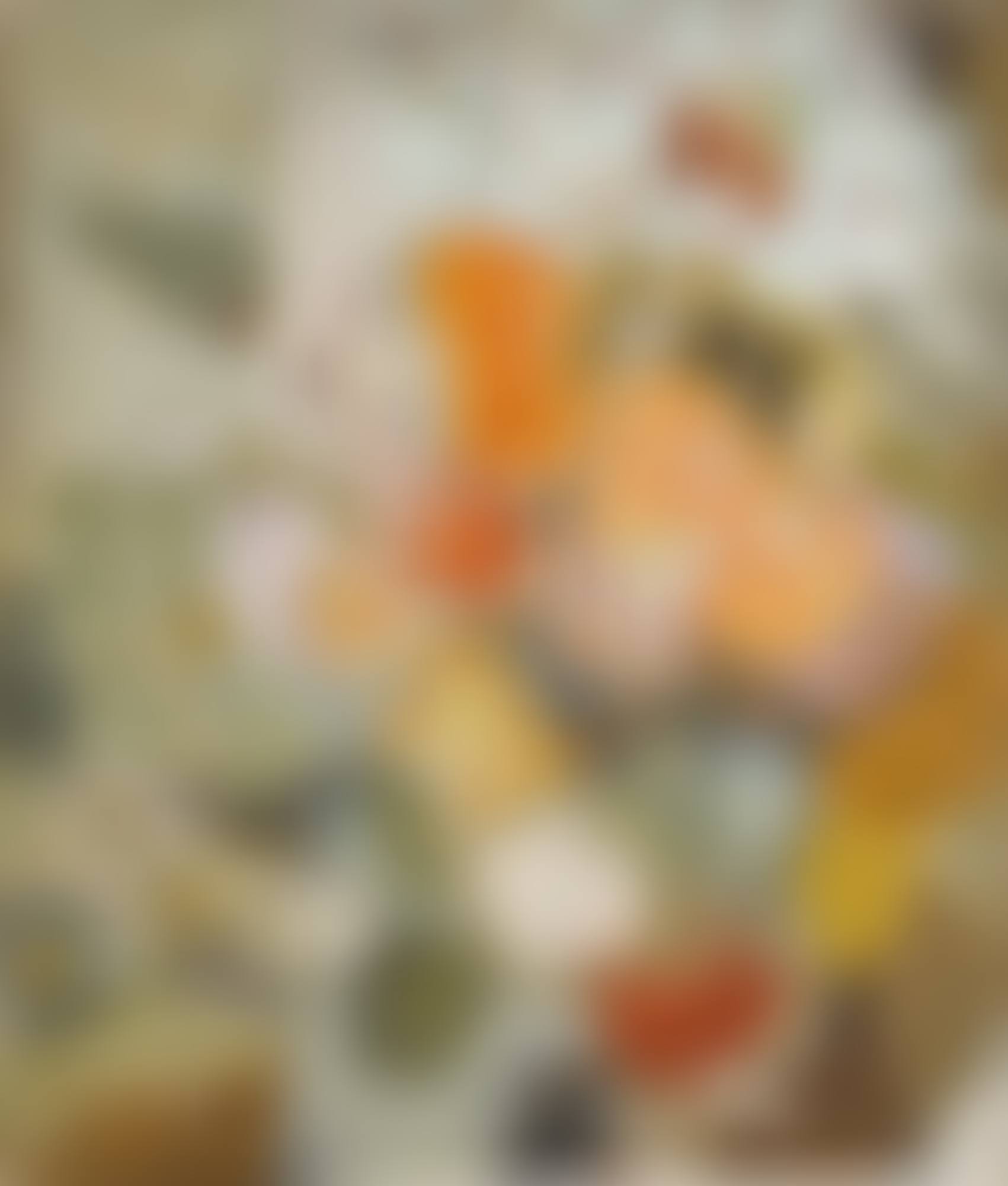 Orange Lily (preview)