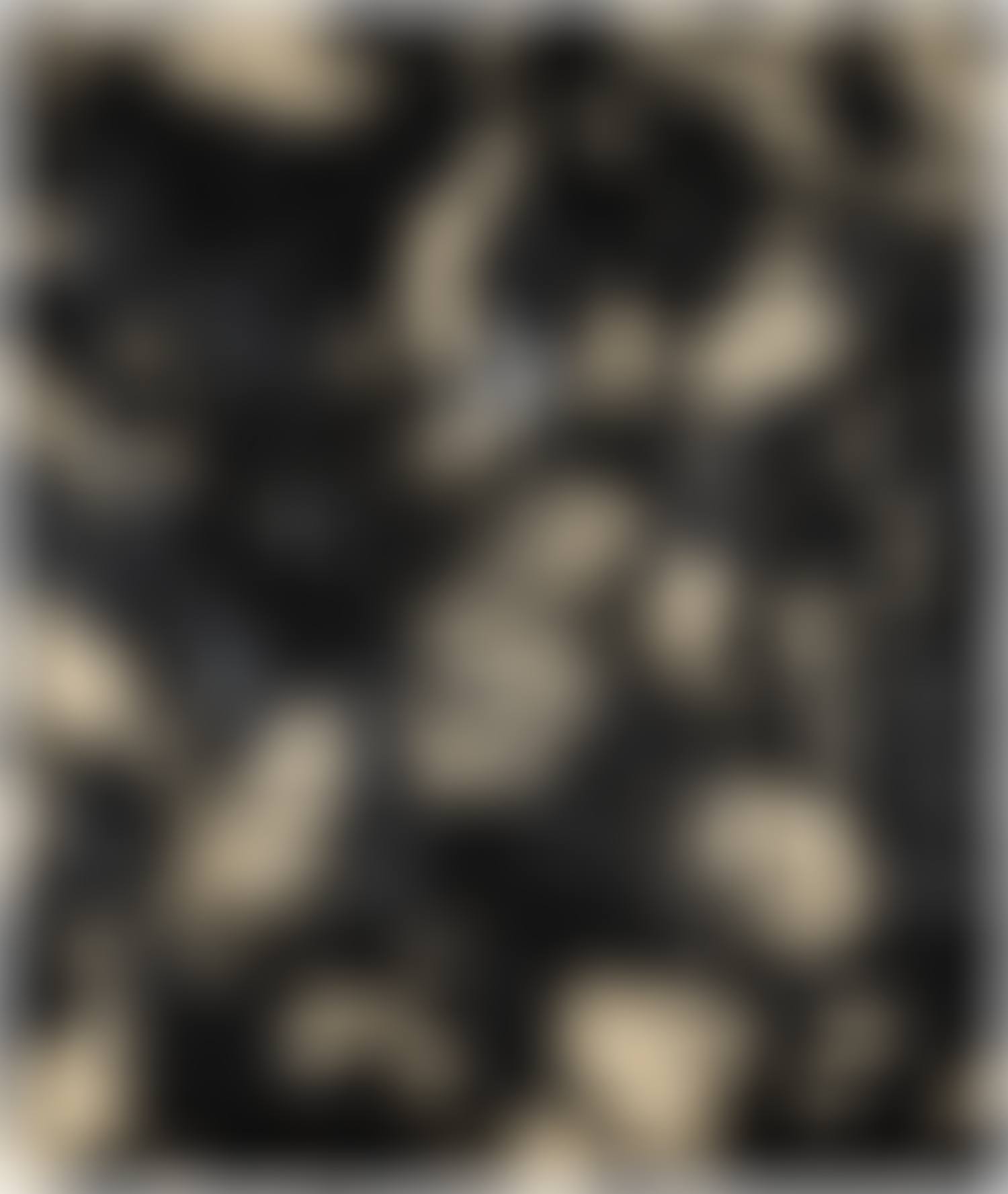 Untitled (SK-PX) (preview)