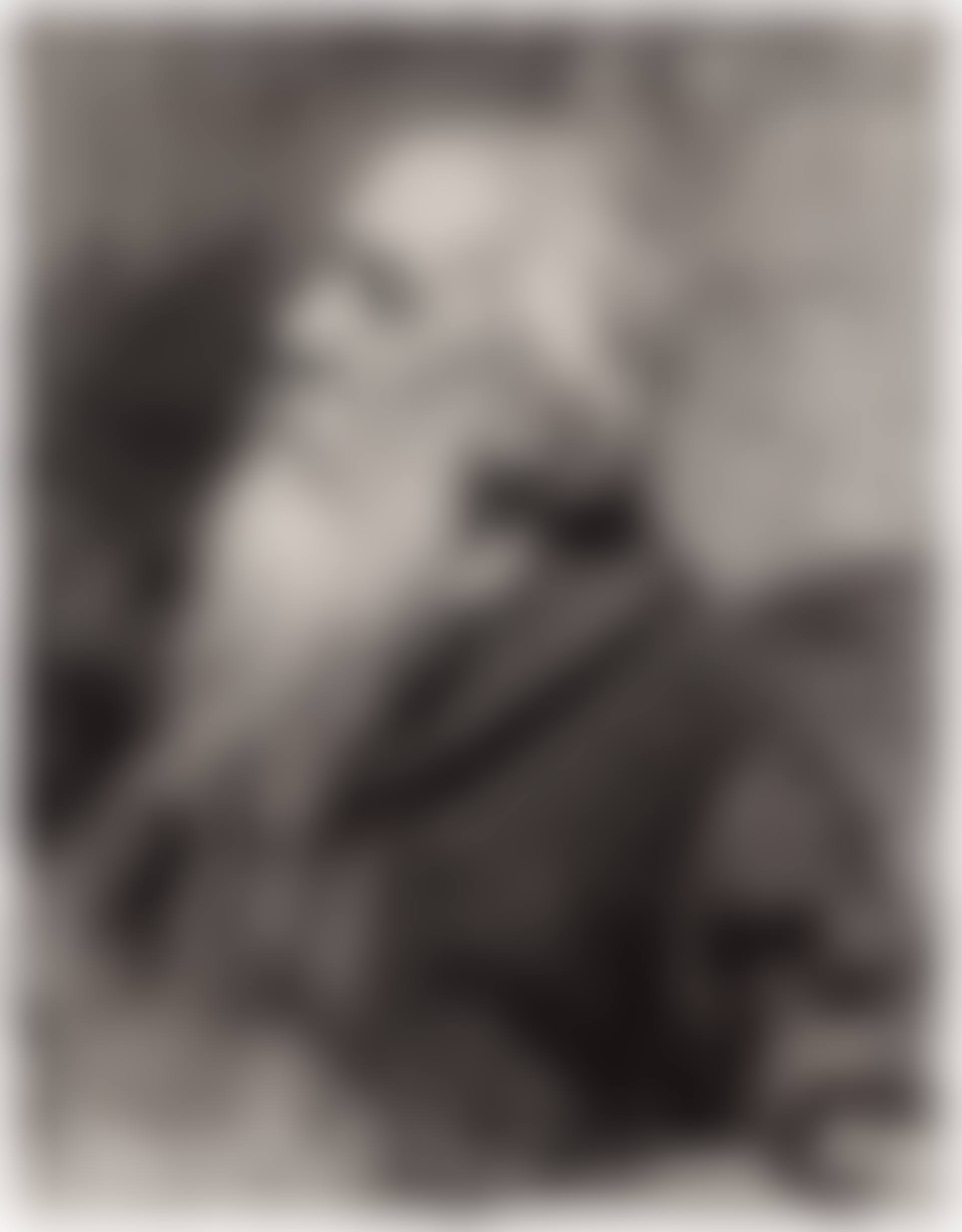 Portrait de vieil homme à la barbe  (preview)