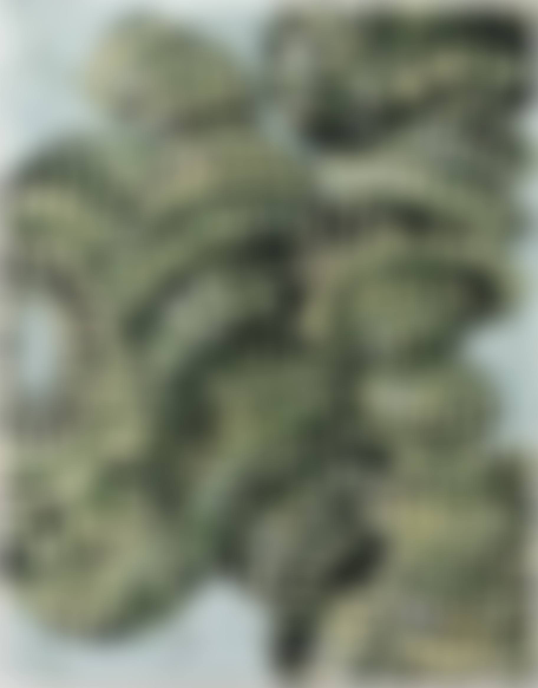 Chromosomes (preview)