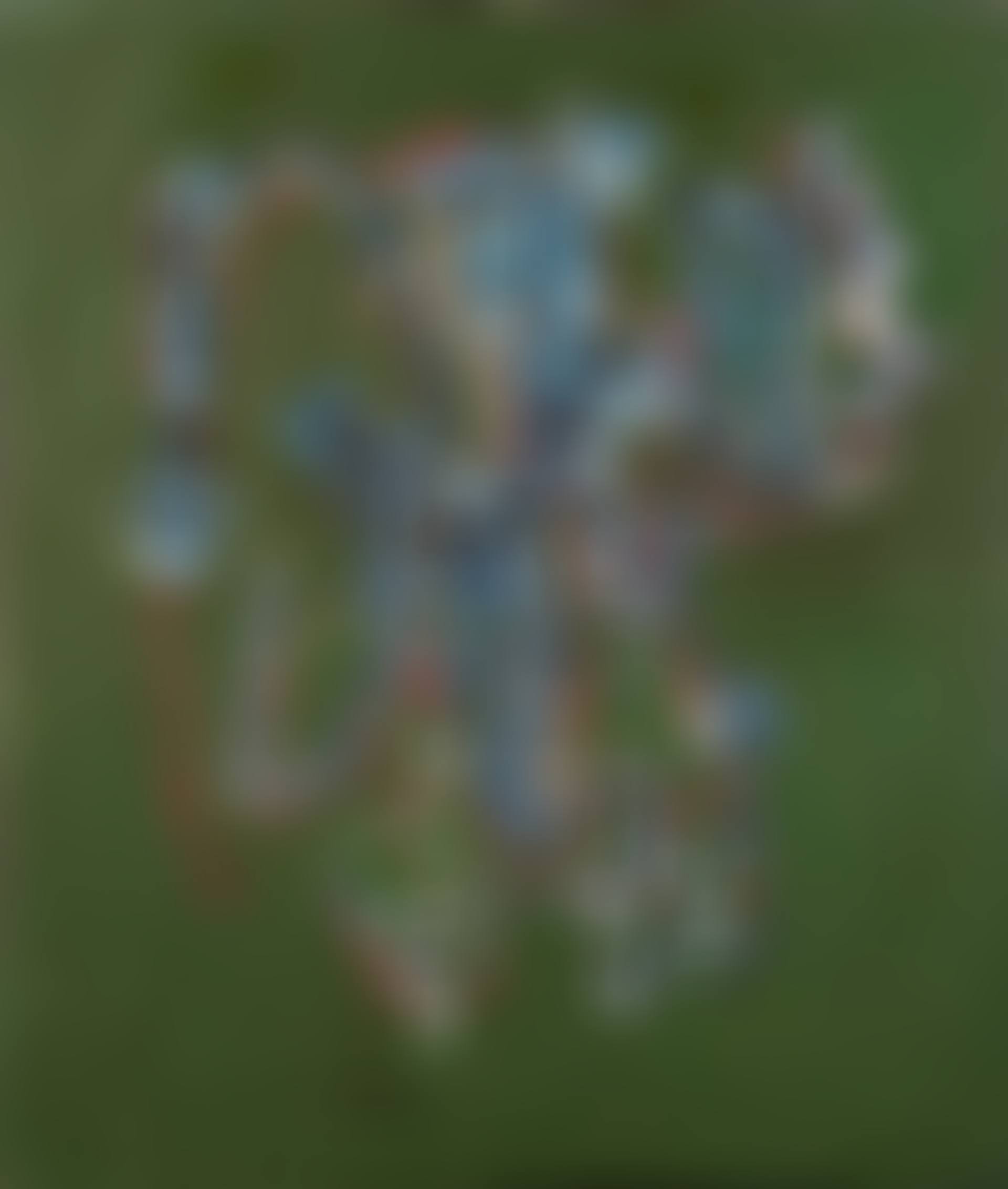 Abstract (preview)