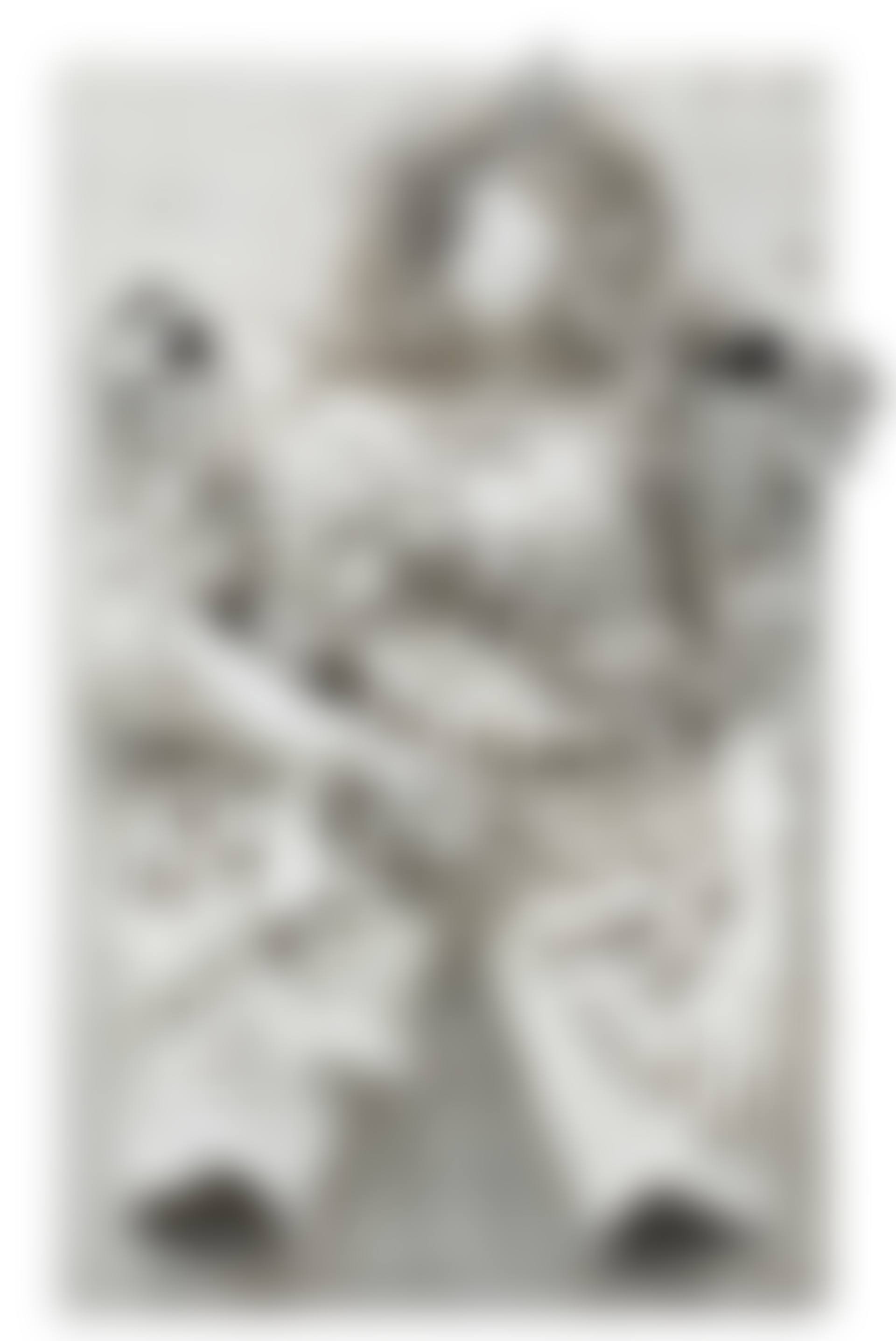The White Goddess / La femme brune (preview)