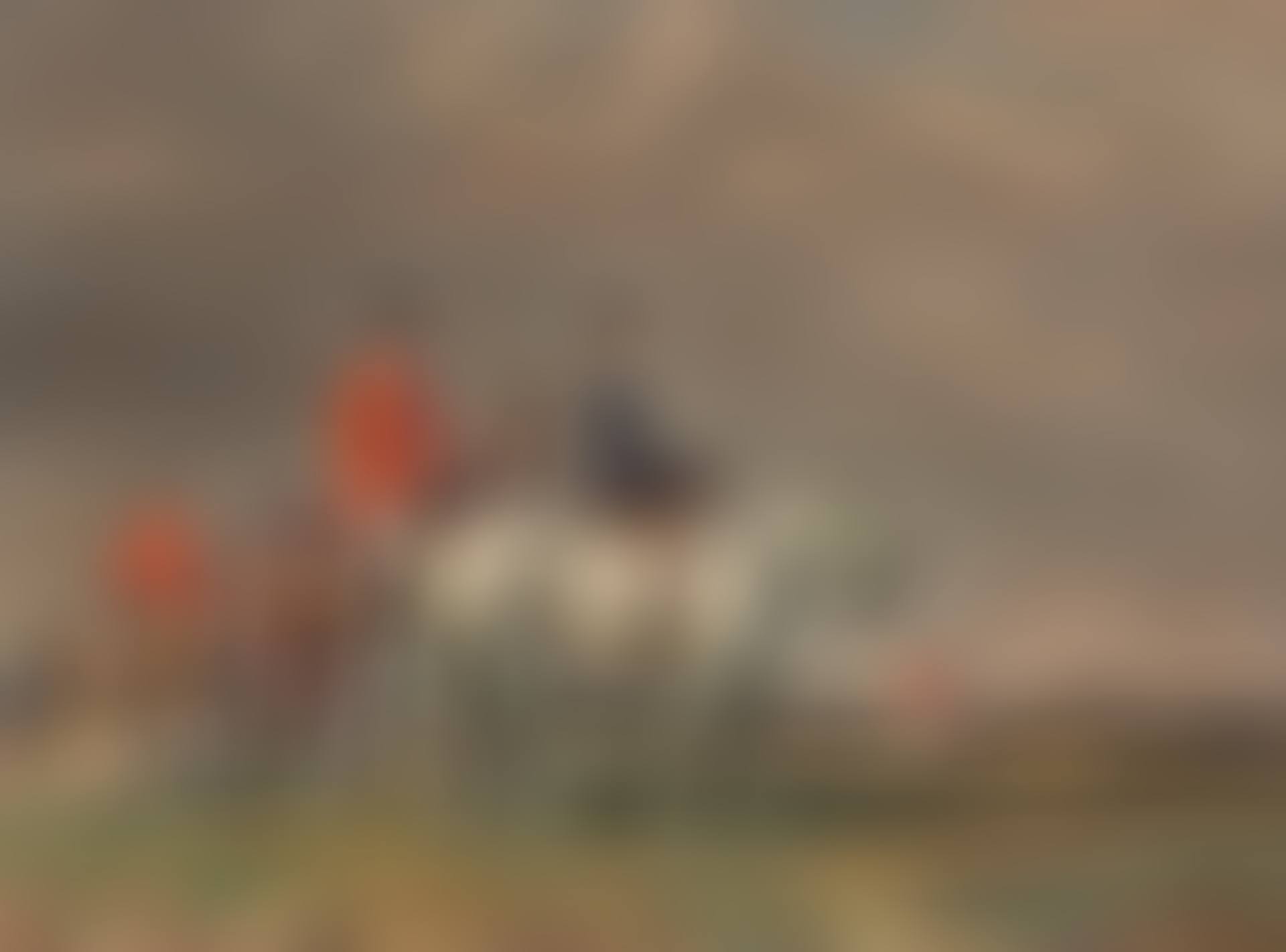 H.R.H. The Princess Royal on "Portumna", and the Earl of Harewood, Master of the Bramham Moor Hunt, on "Tommy" (preview)