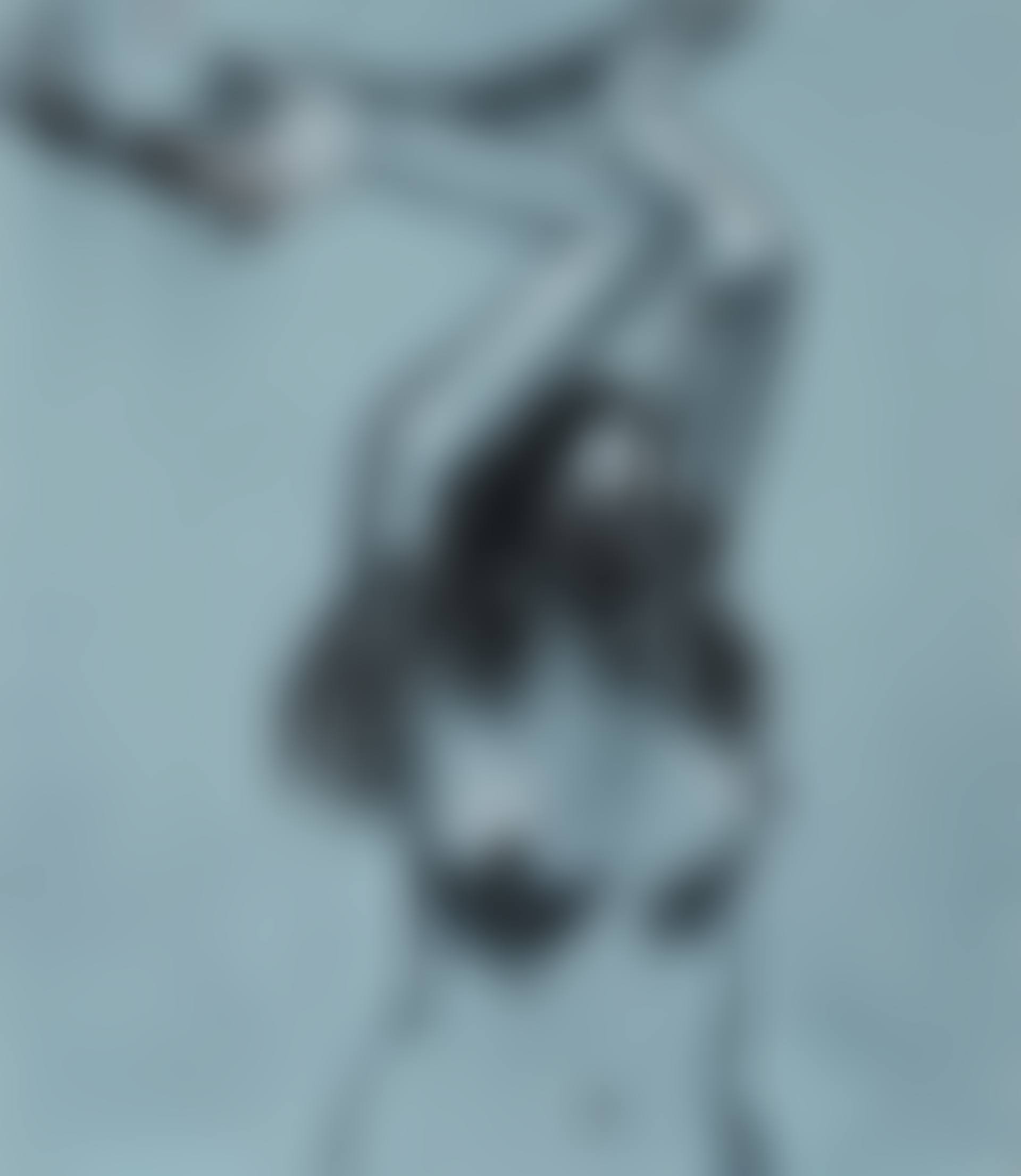 The Rock Thrower (preview)