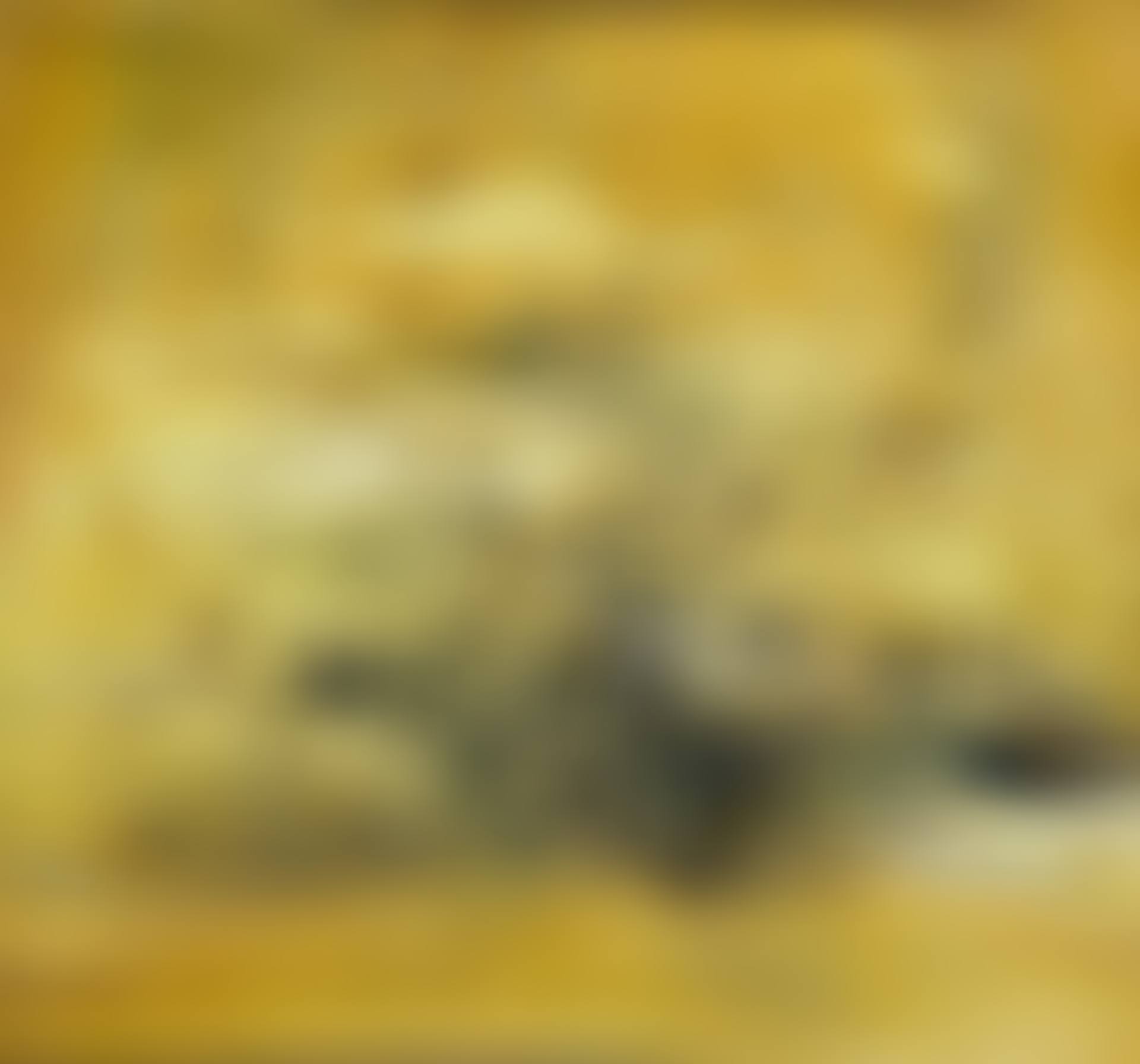 7.5.64 (preview)