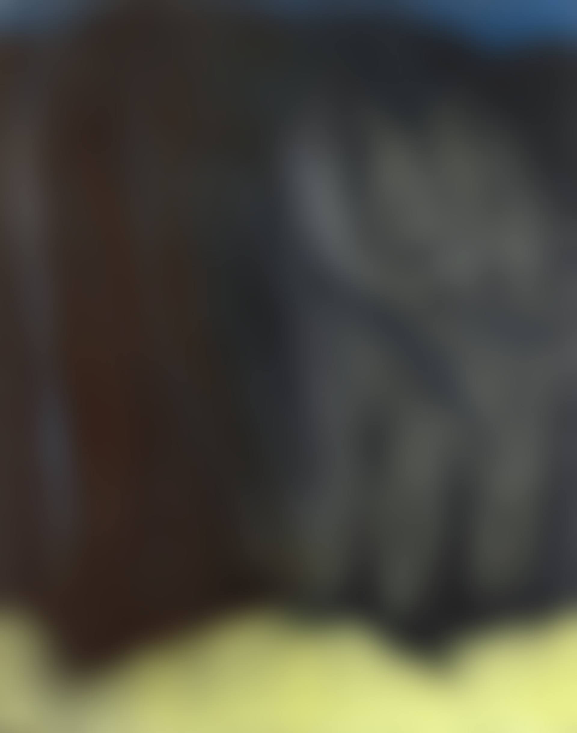 T1963-R4 (preview)