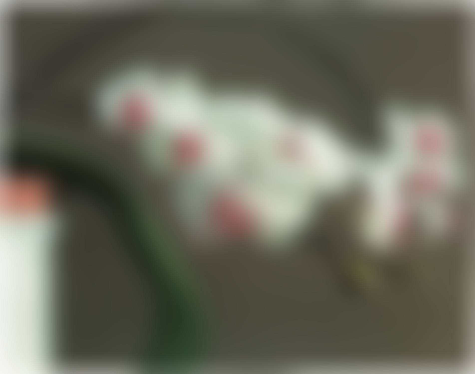 Orchidee II (Orchid II) (B. 103) (preview)