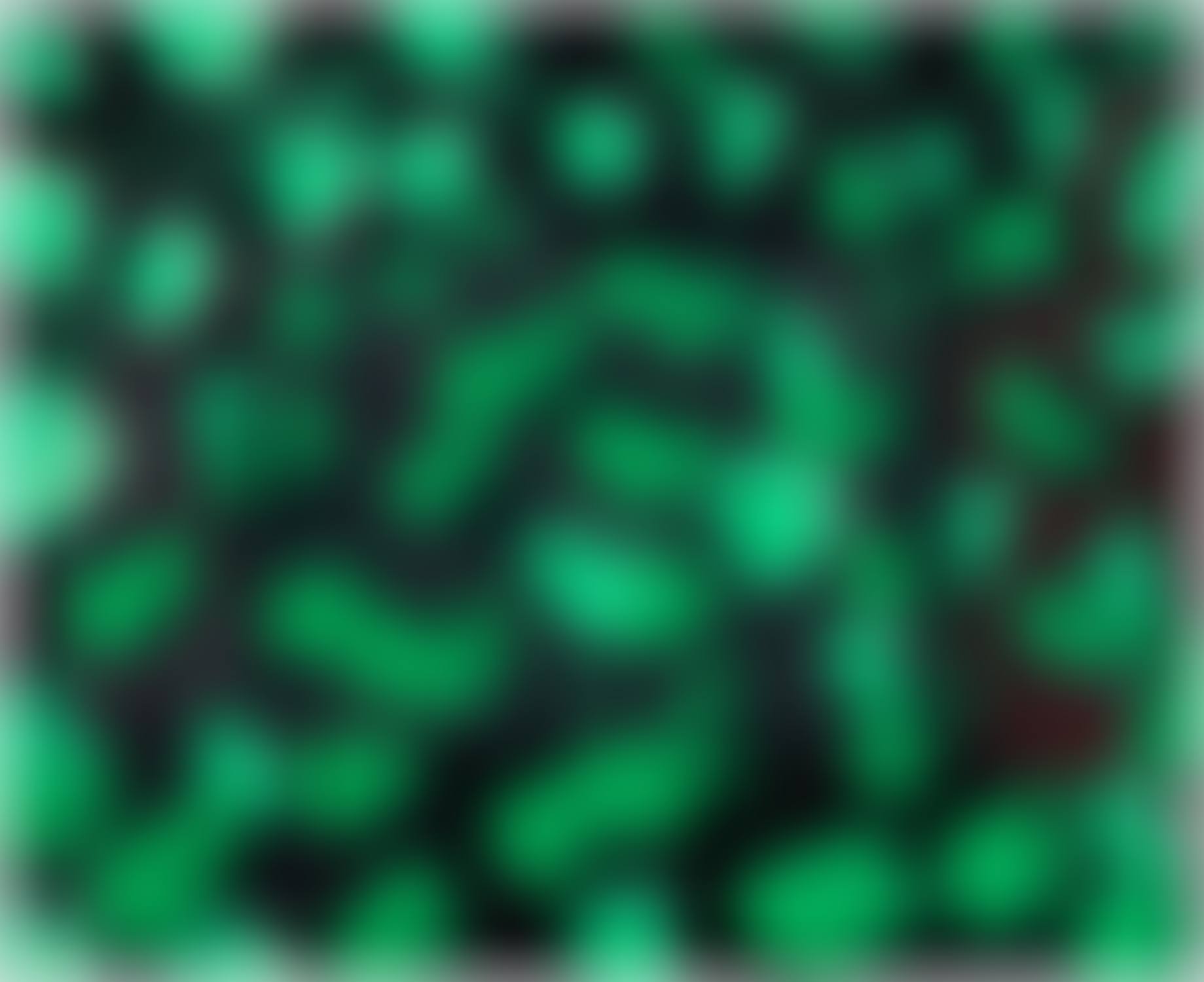 Multiplication (preview)