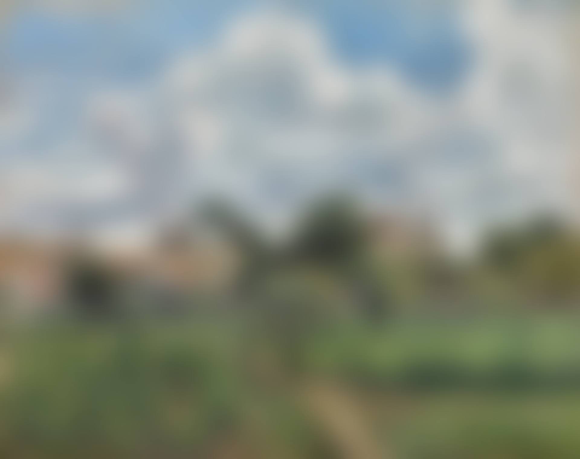 L'allée des vignes à Pontoise (preview)