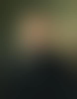 Portrait of a Gentleman with the Insignia of the "Schwäbische Reichsritterschaft" (preview)