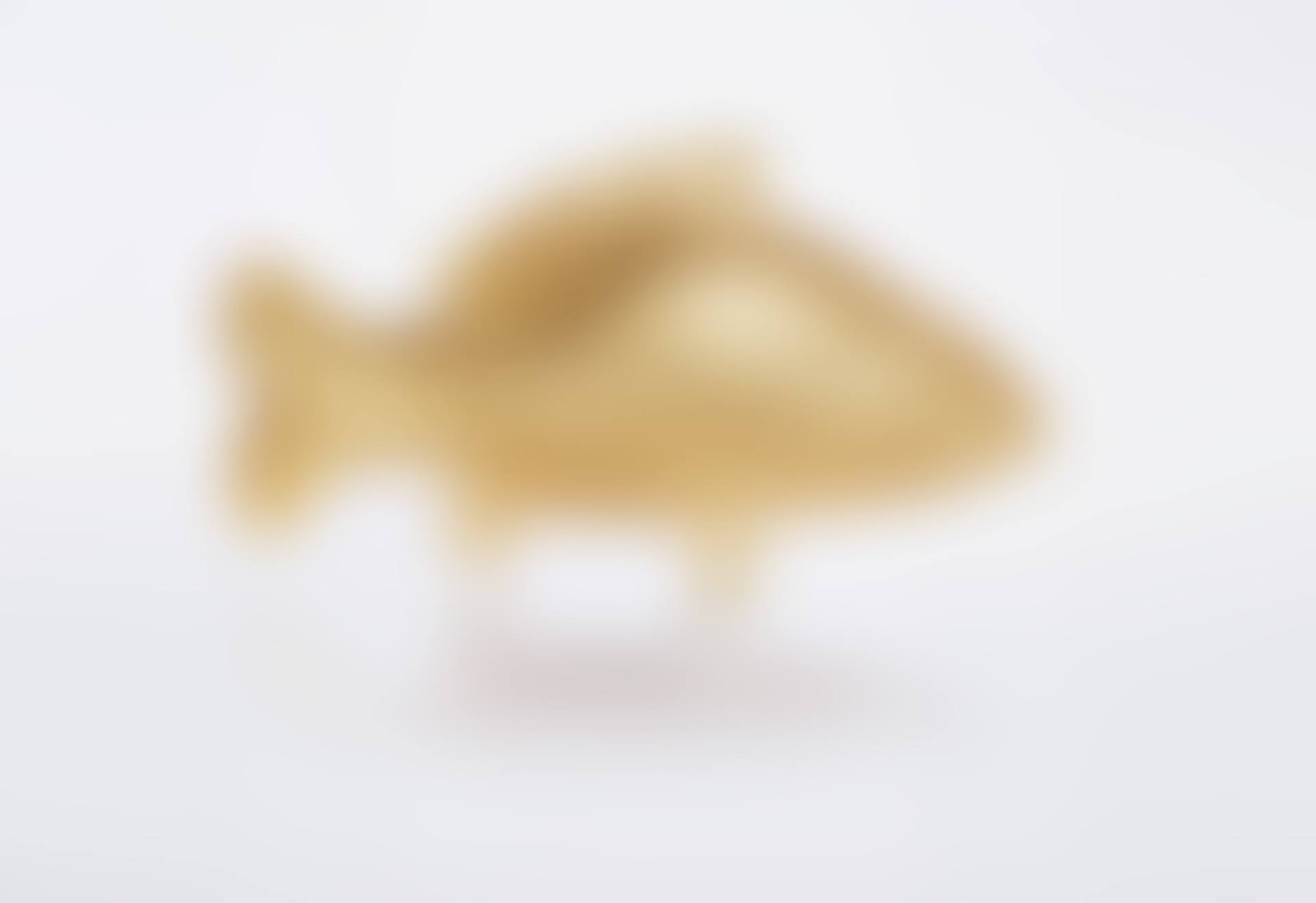 Carpe d"Or (preview)