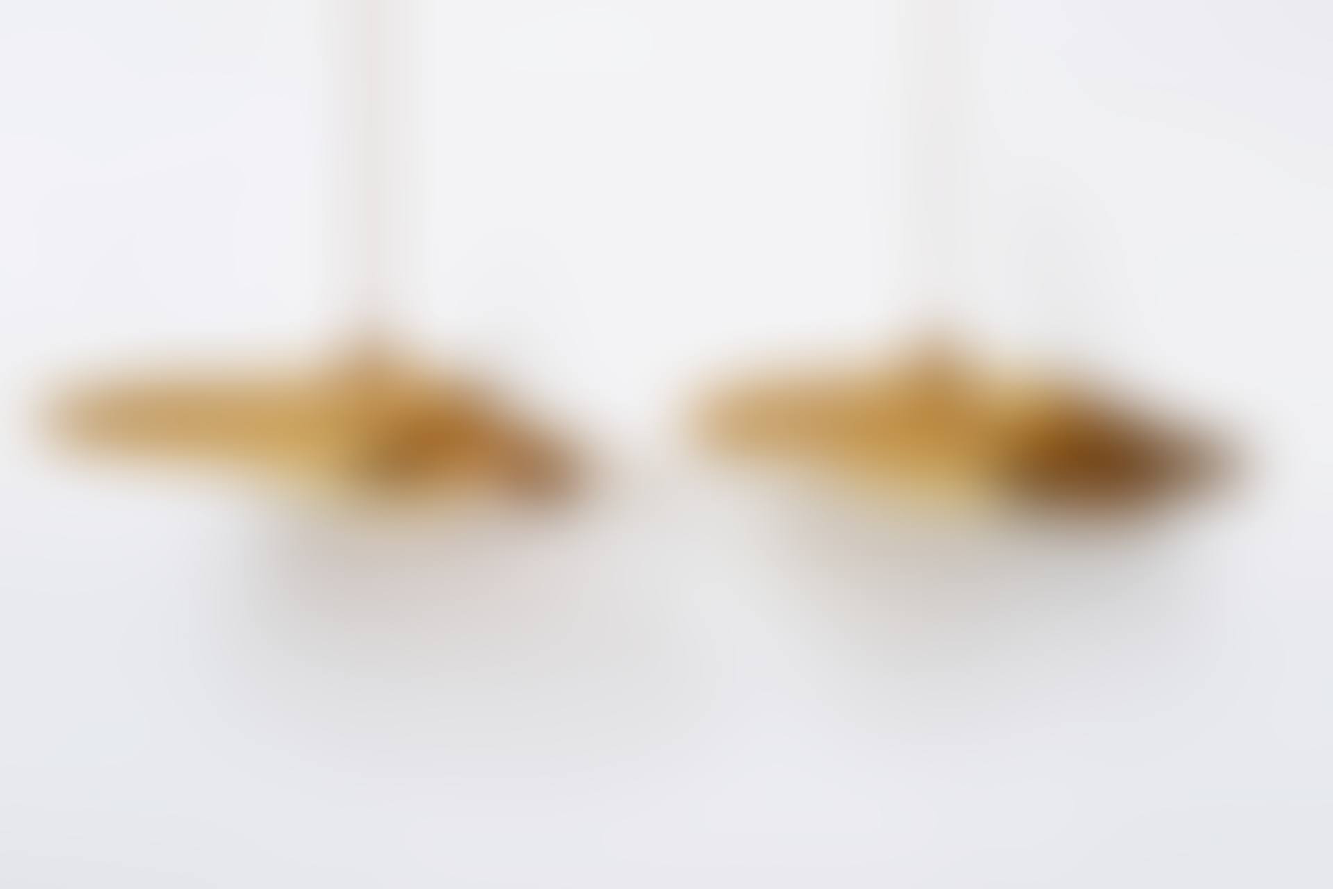 Pair of "Uchiwa" Ceiling Lights (preview)