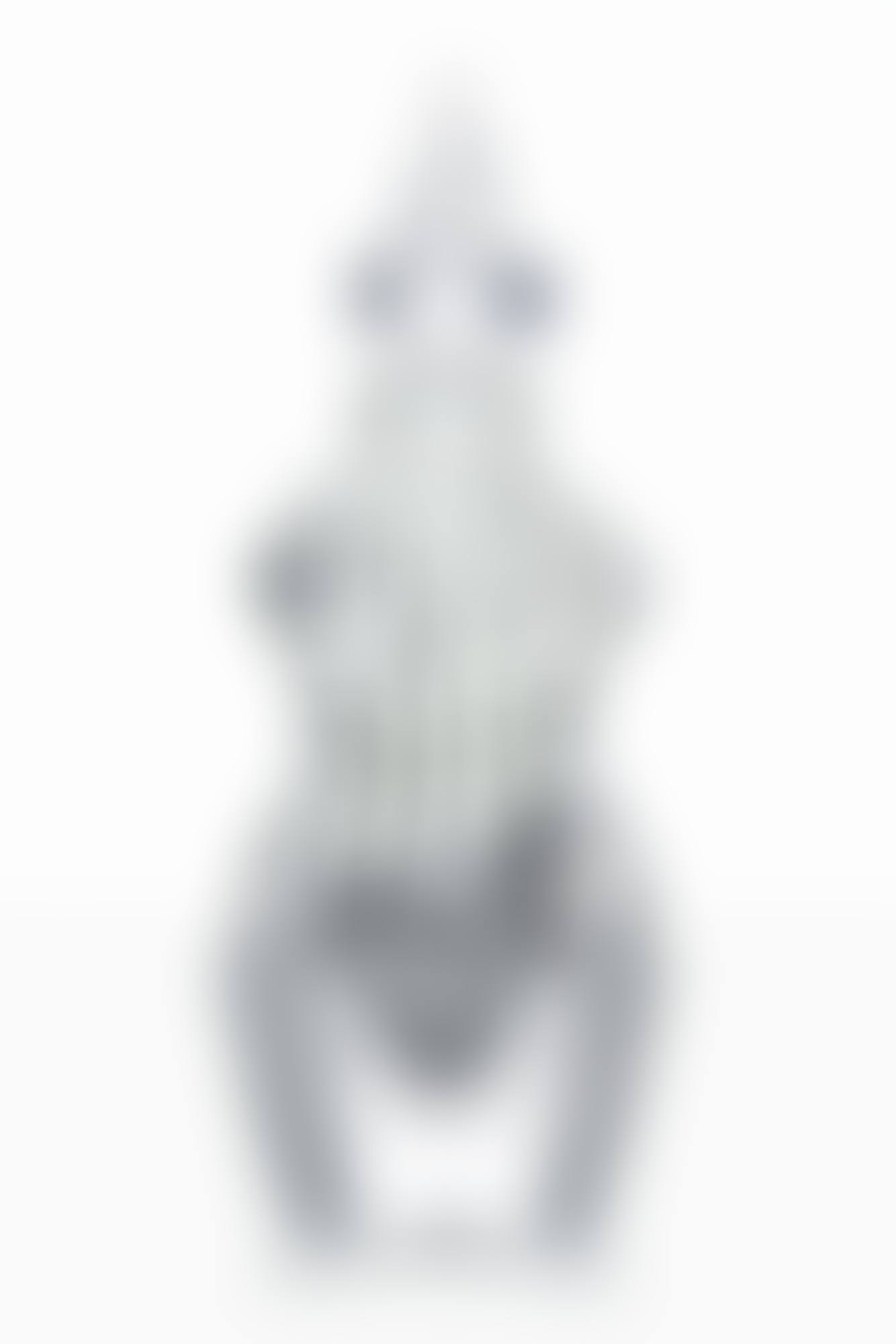 Cintra Scent Bottle (preview)