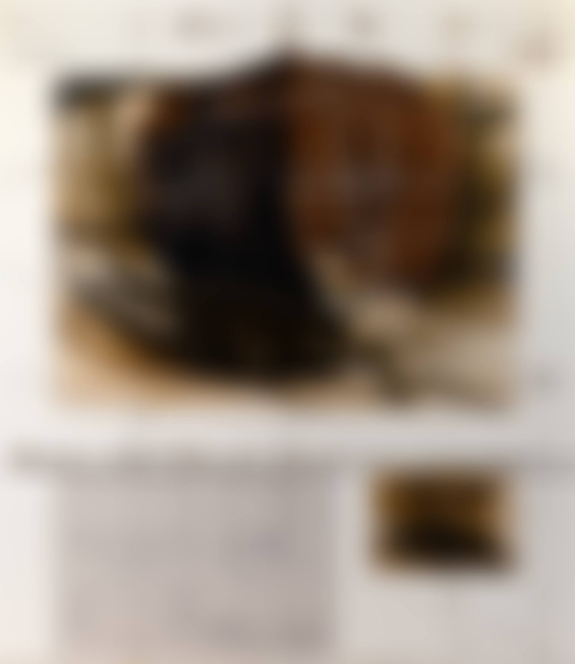 Package on a »Hunt« (Project for Goslar) (preview)