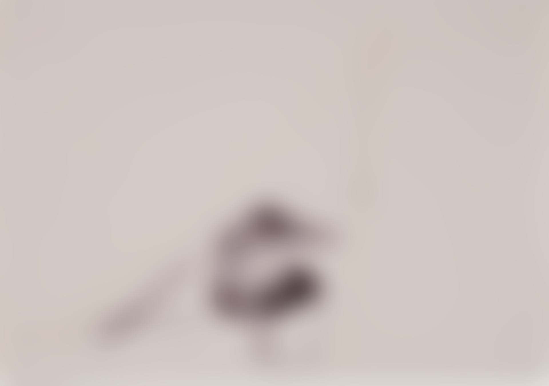 Ohne Titel (5.5.75) (preview)