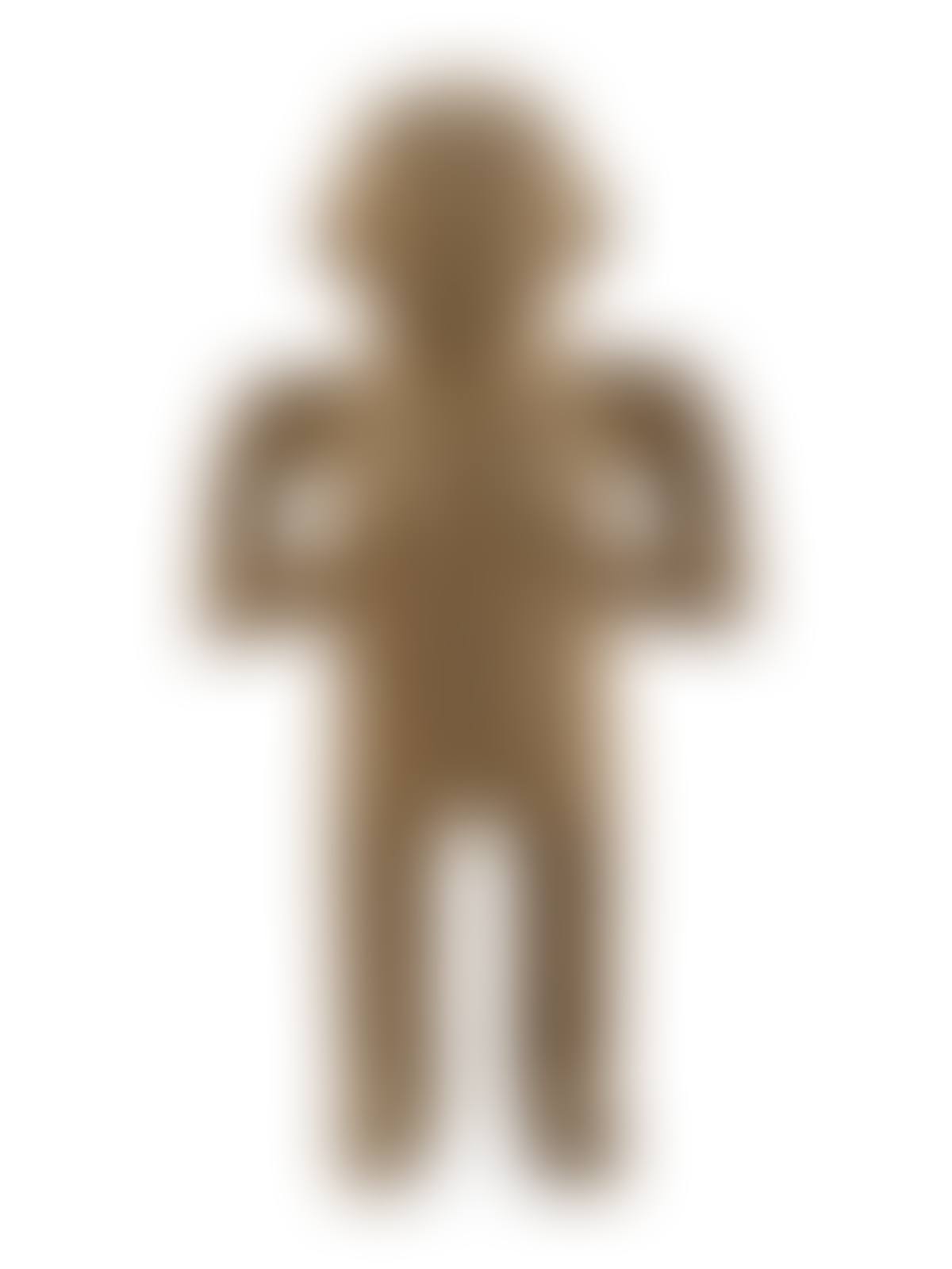 A Costa Rican Stone Female Figure (preview)