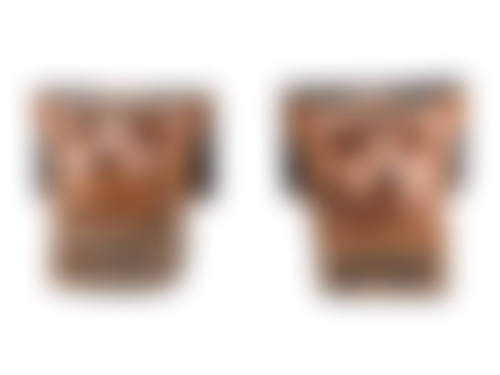 A Pair of Fox Head Architectural Brackets (preview)