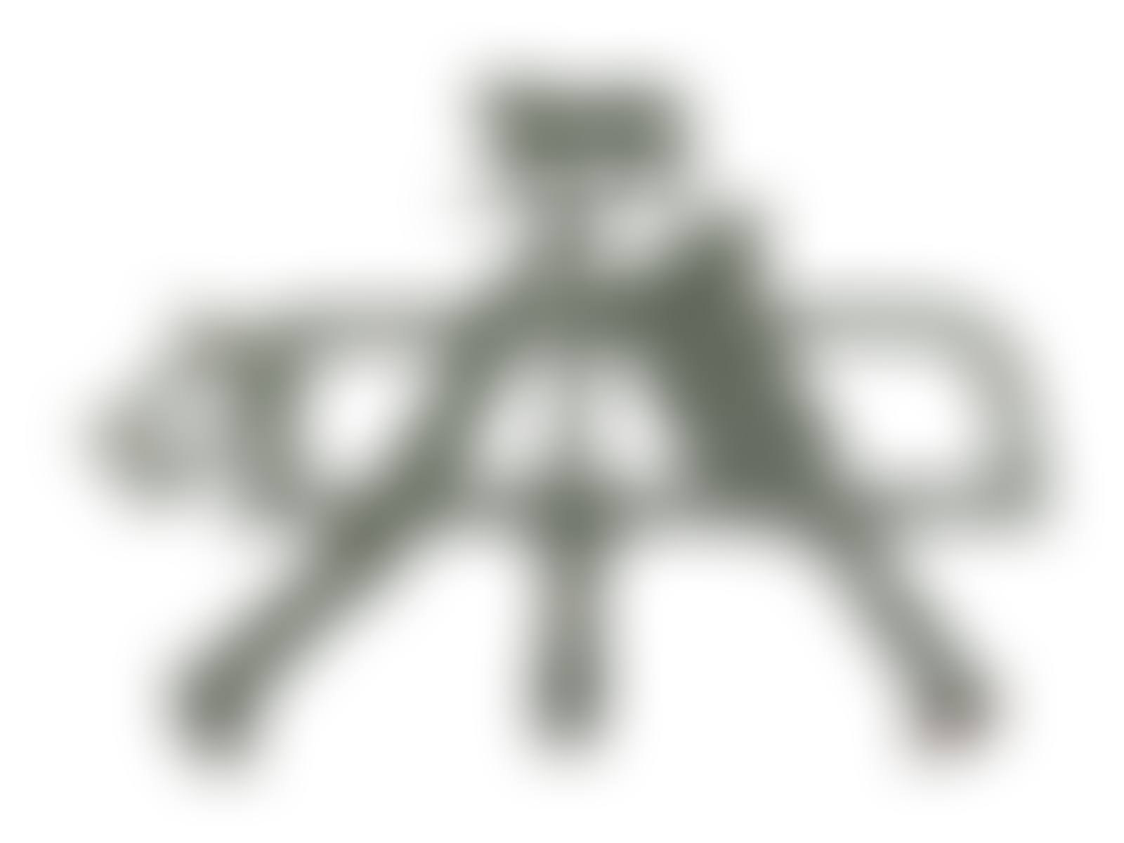 A Cut Sheet Iron Butcher"s Sign (preview)