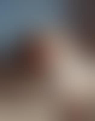 A girl with a Cavalier King Charles Spaniel (preview)