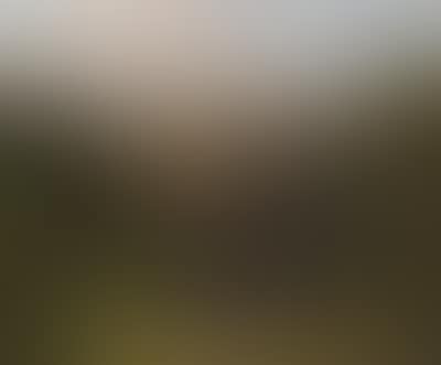 View of Bítov Castle of Count Daun in Moravia (preview)