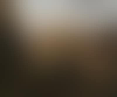 View of Bítov Castle of Count Daun in MOravia (preview)