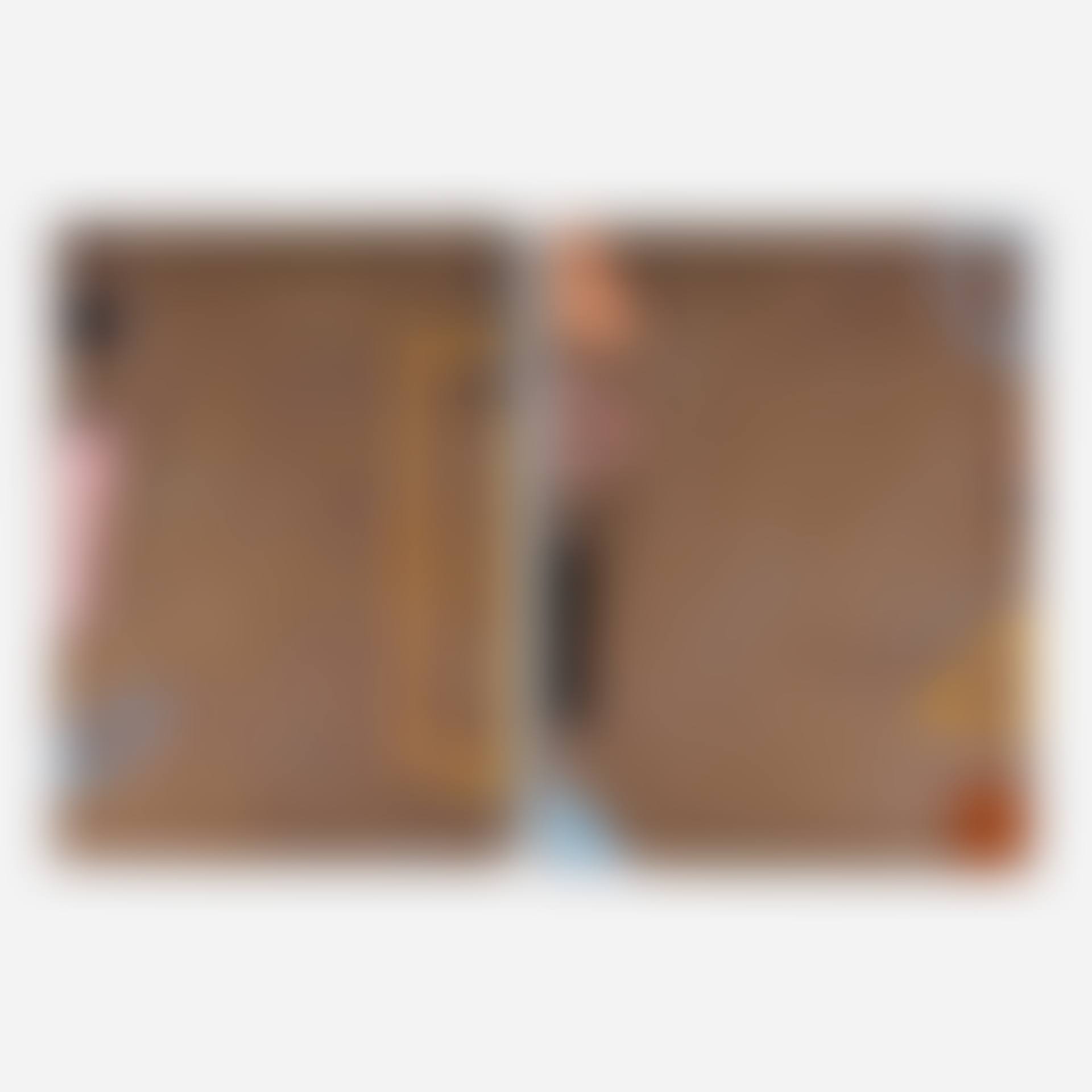 Wall Slabs (two works) (preview)