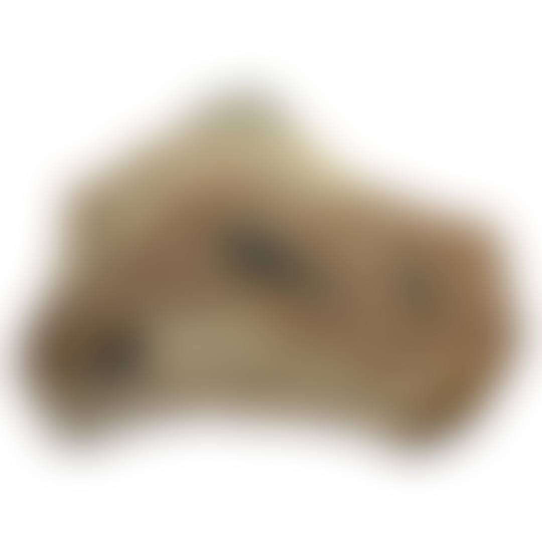 Natural Fossil Fish Mortality Plaque (preview)