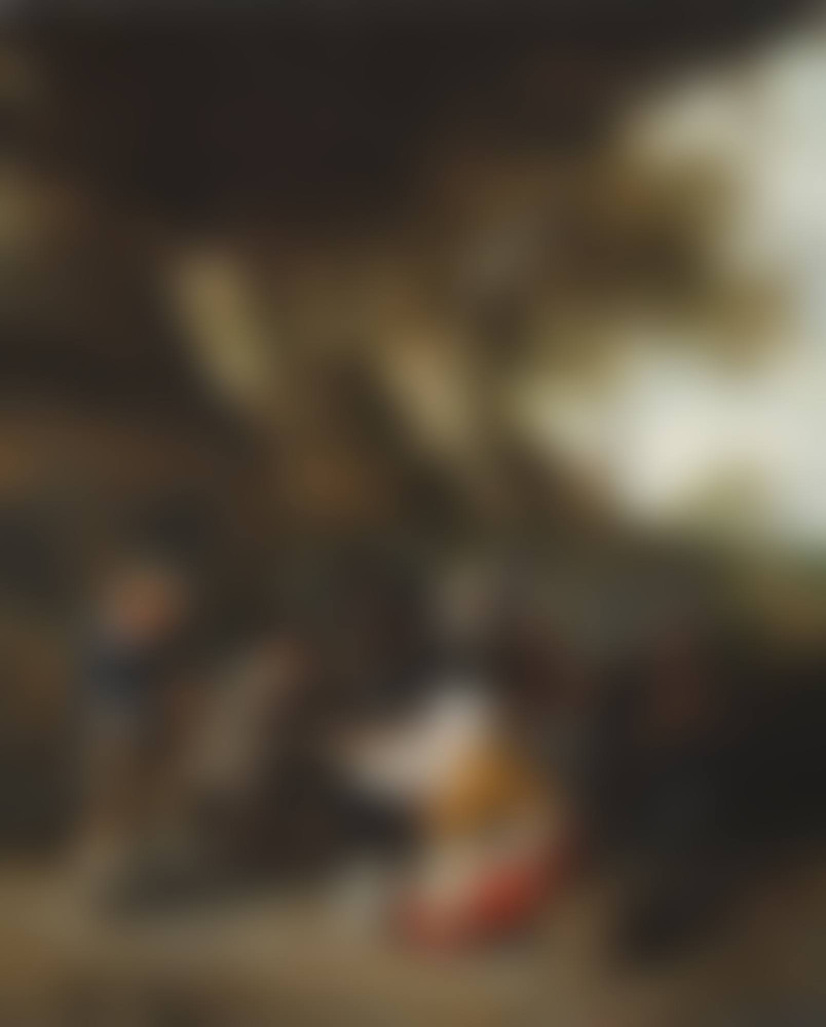 Peasants seated at a table before a tavern (preview)
