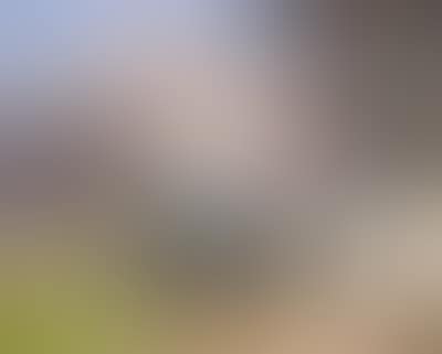 Berghof und Wilder Kaiser (preview)