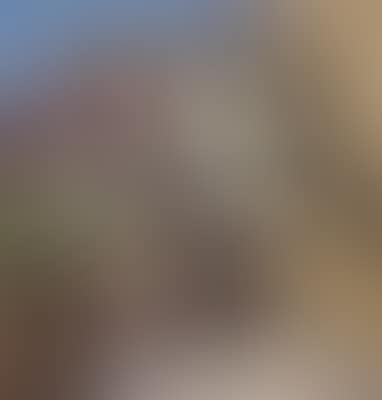 Alt Meran (preview)