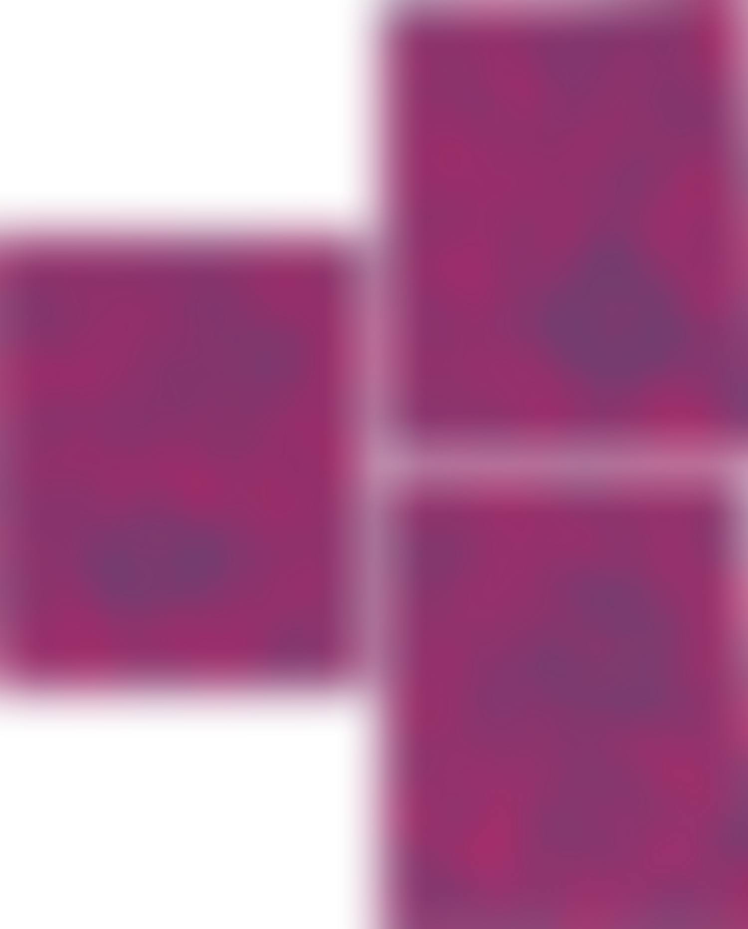 Three works: Flower Collaboration with MADSAKI (Pink) (i) A; (ii) B; (iii) C (preview)
