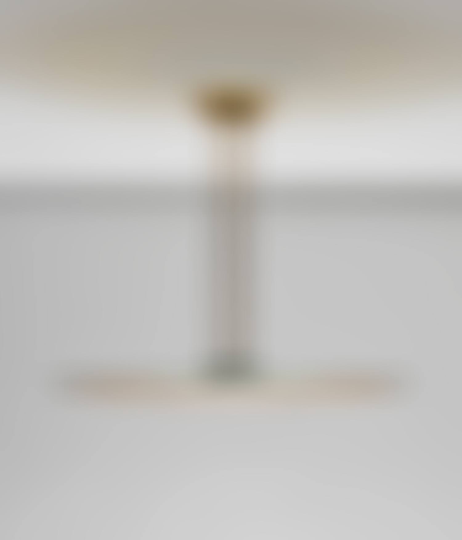 Ceiling light, model no. 1508 (preview)